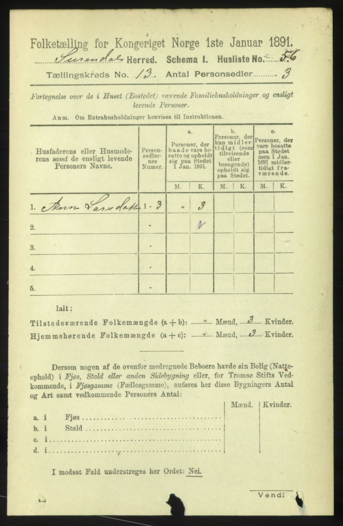 RA, 1891 census for 1566 Surnadal, 1891, p. 3163