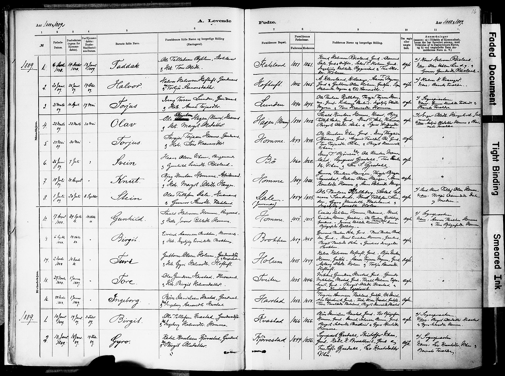 Valle sokneprestkontor, SAK/1111-0044/F/Fa/Fac/L0009: Parish register (official) no. A 9, 1882-1913, p. 16