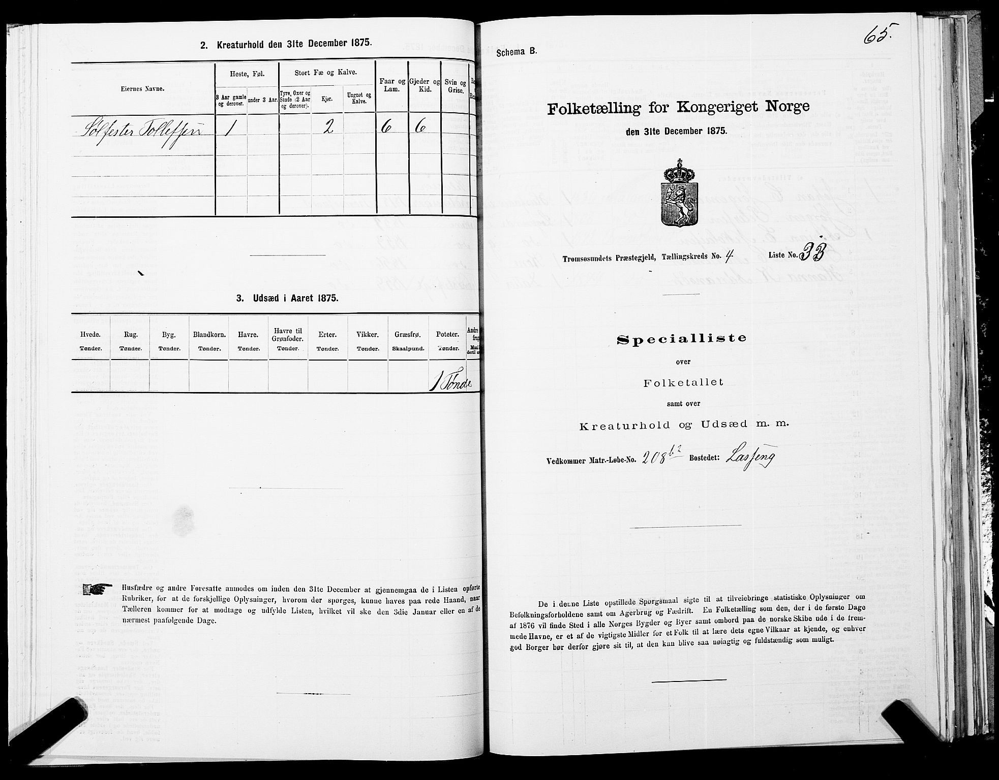 SATØ, 1875 census for 1934P Tromsøysund, 1875, p. 3065