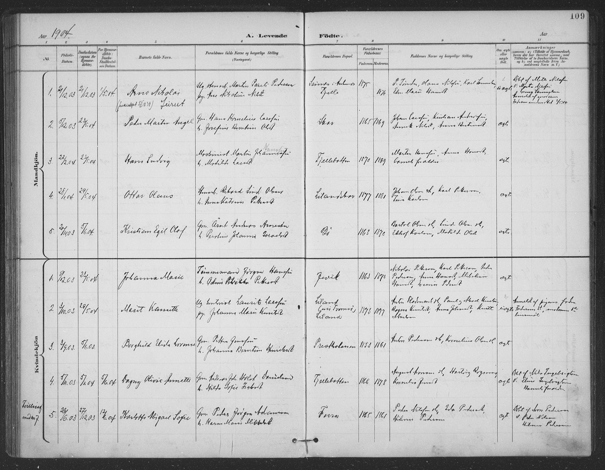 Ministerialprotokoller, klokkerbøker og fødselsregistre - Nordland, SAT/A-1459/863/L0899: Parish register (official) no. 863A11, 1897-1906, p. 109