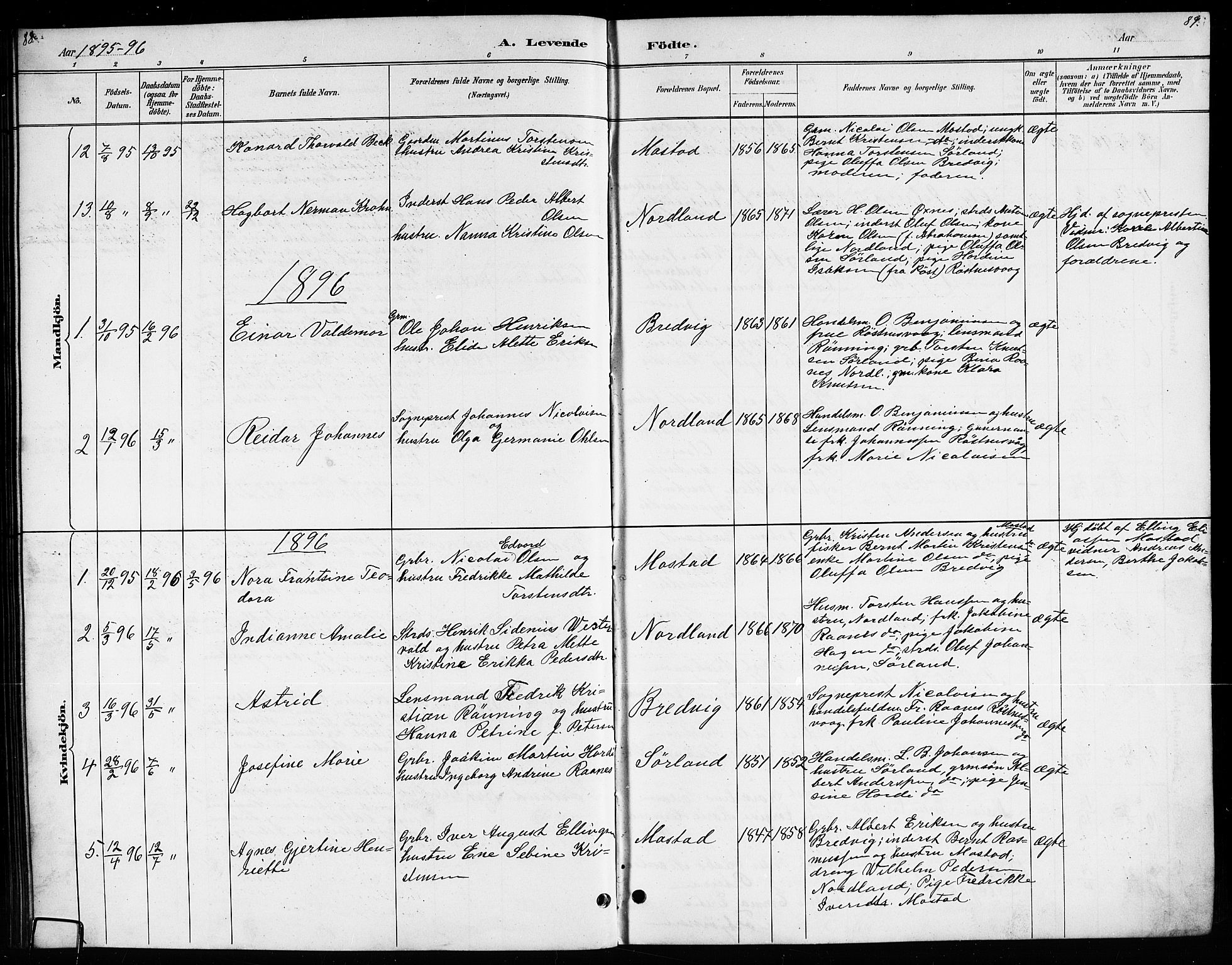 Ministerialprotokoller, klokkerbøker og fødselsregistre - Nordland, AV/SAT-A-1459/807/L0123: Parish register (copy) no. 807C01, 1884-1910, p. 88-89