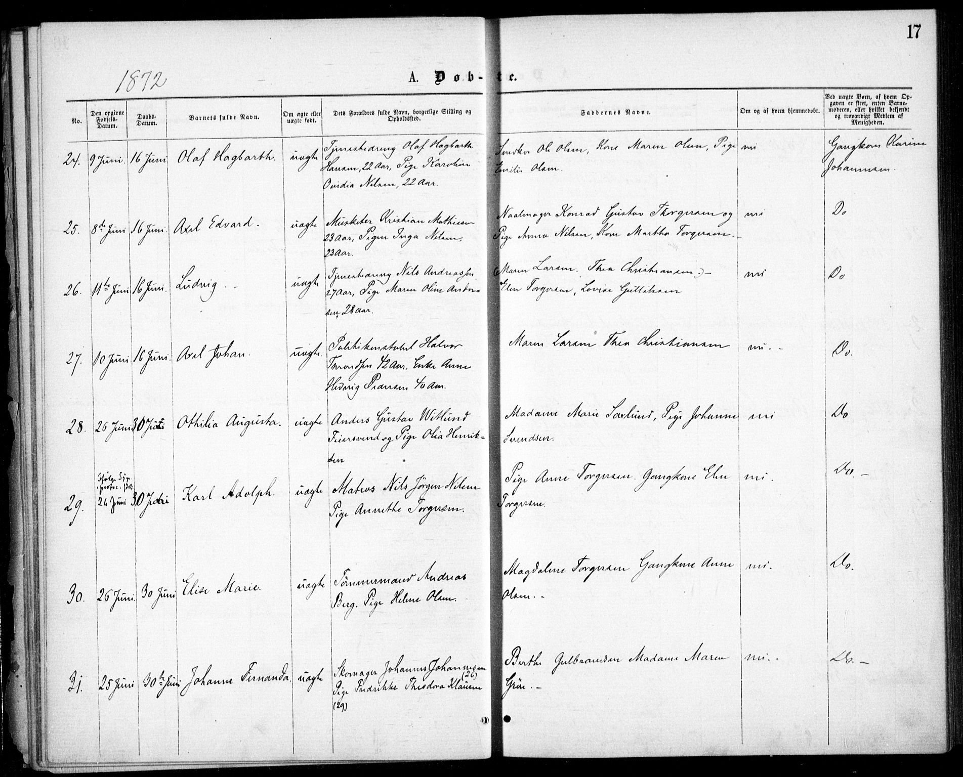 Krohgstøtten sykehusprest Kirkebøker, SAO/A-10854/F/Fa/L0001: Parish register (official) no. 1, 1865-1873, p. 17