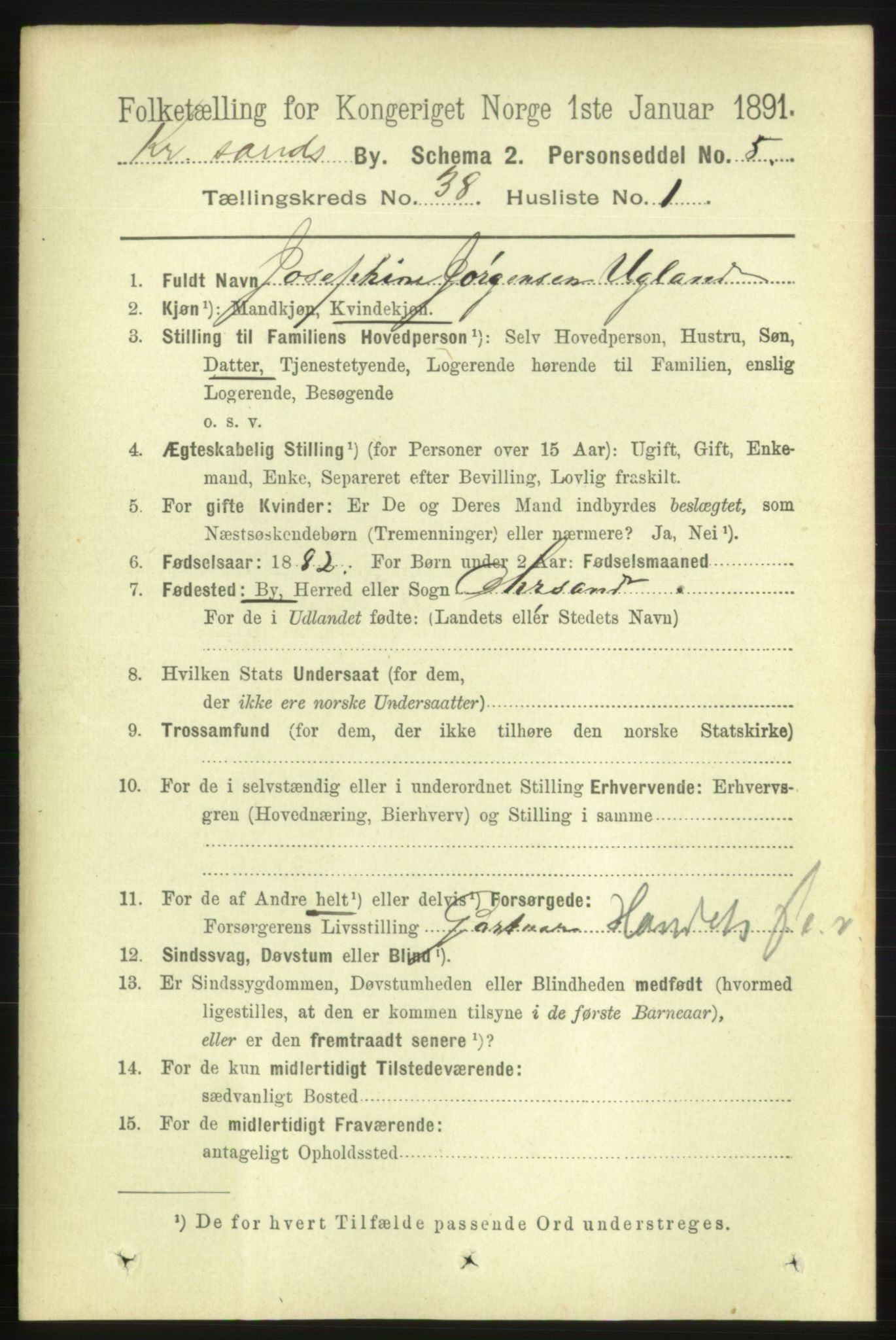 RA, 1891 census for 1001 Kristiansand, 1891, p. 12172