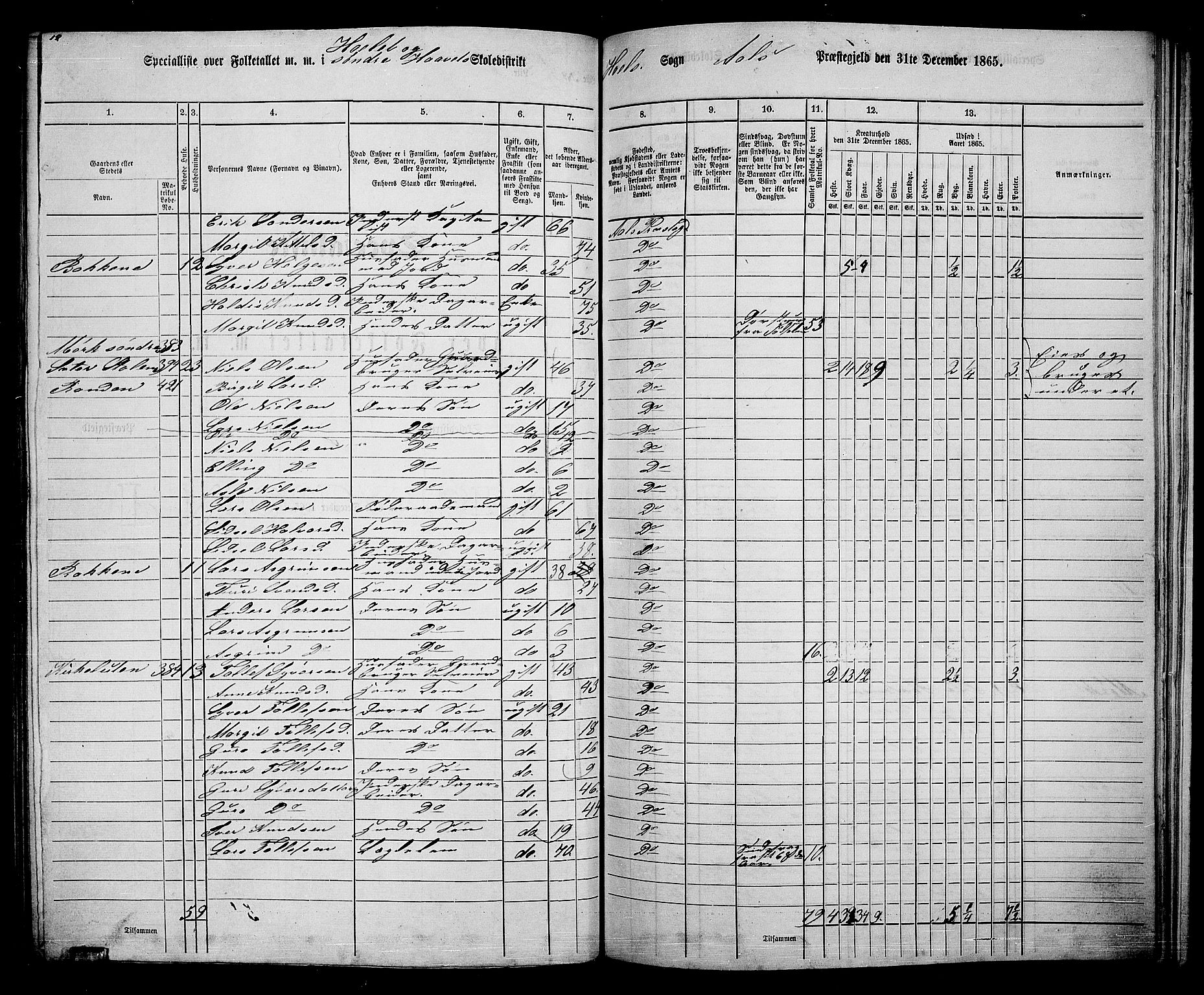 RA, 1865 census for Ål, 1865, p. 195