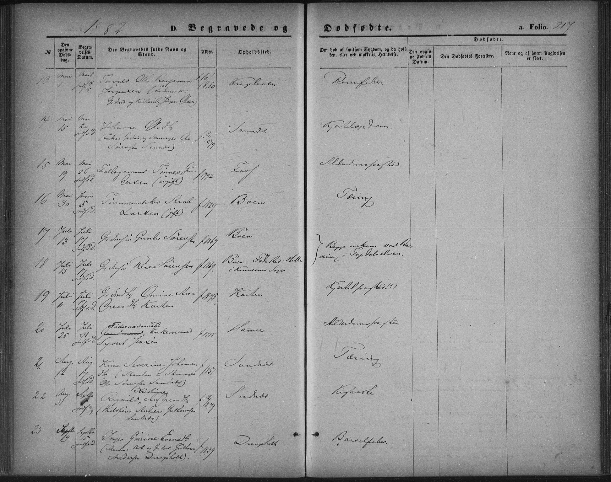 Tveit sokneprestkontor, AV/SAK-1111-0043/F/Fa/L0006: Parish register (official) no. A 6, 1872-1886, p. 217