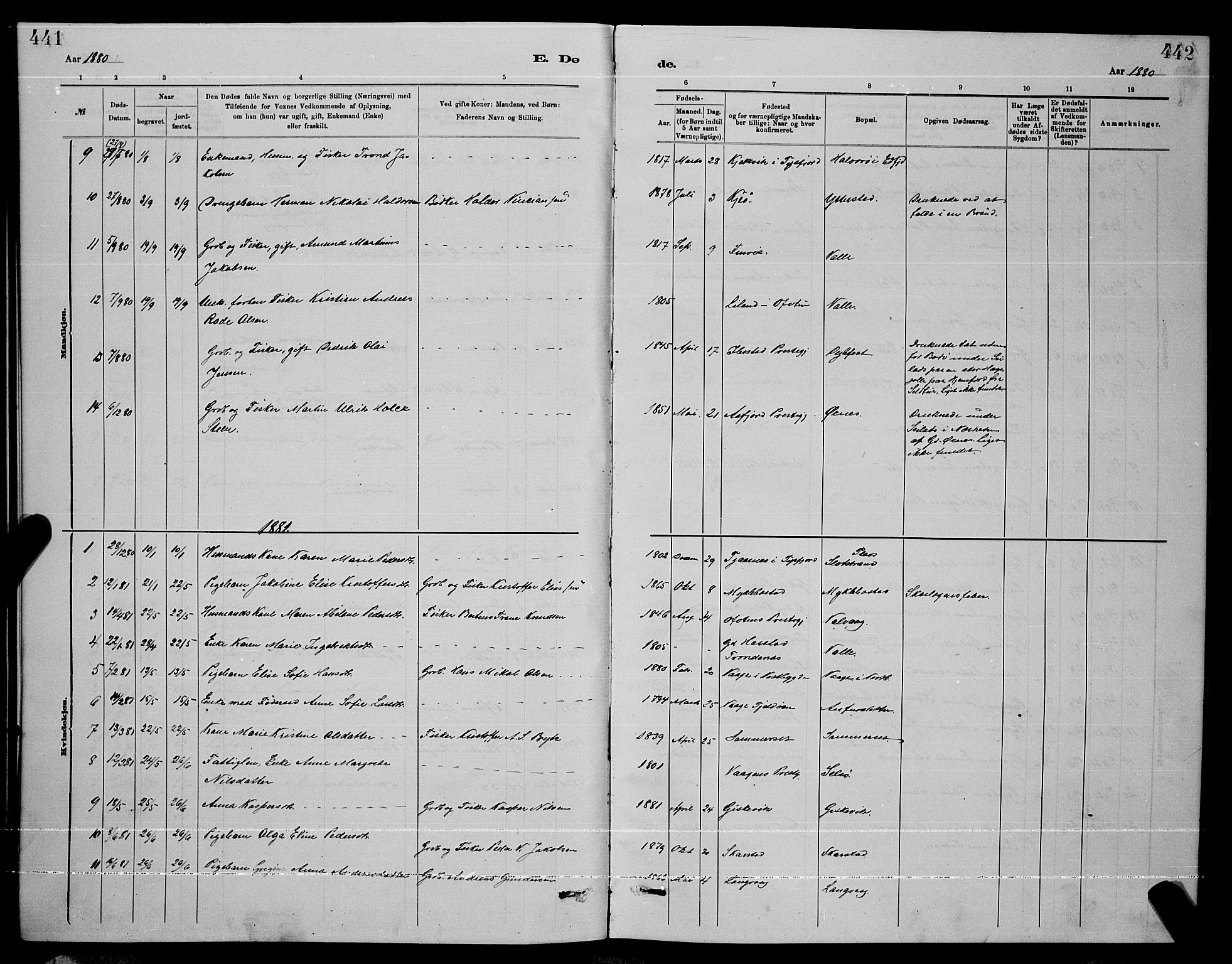 Ministerialprotokoller, klokkerbøker og fødselsregistre - Nordland, AV/SAT-A-1459/872/L1047: Parish register (copy) no. 872C03, 1880-1897, p. 441-442