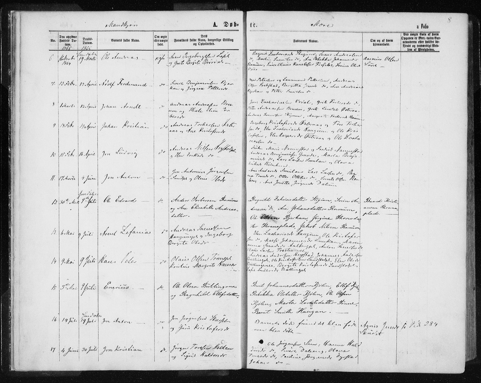 Ministerialprotokoller, klokkerbøker og fødselsregistre - Nord-Trøndelag, AV/SAT-A-1458/735/L0345: Parish register (official) no. 735A08 /1, 1863-1872, p. 8