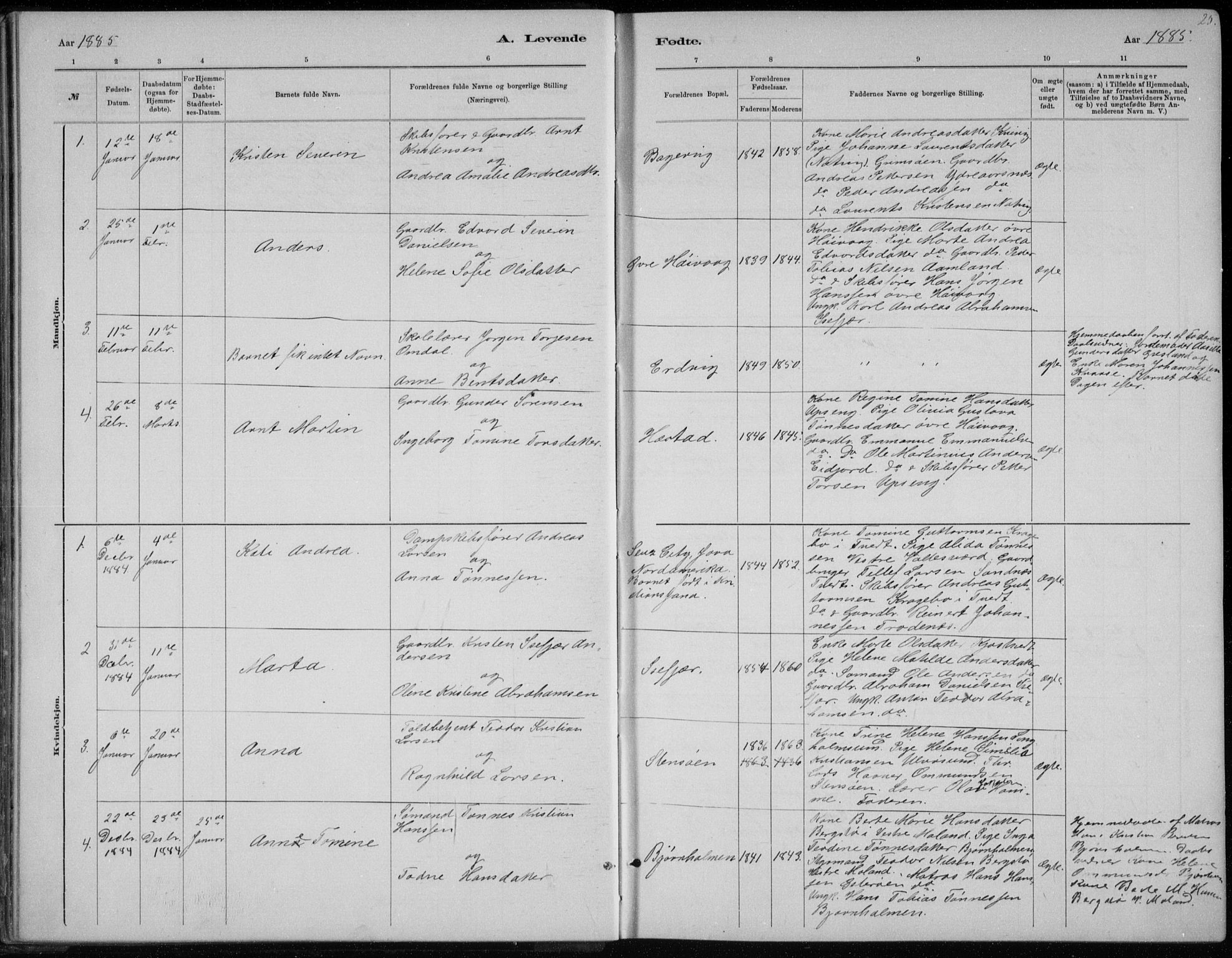 Høvåg sokneprestkontor, SAK/1111-0025/F/Fb/L0004: Parish register (copy) no. B 4, 1883-1898, p. 25