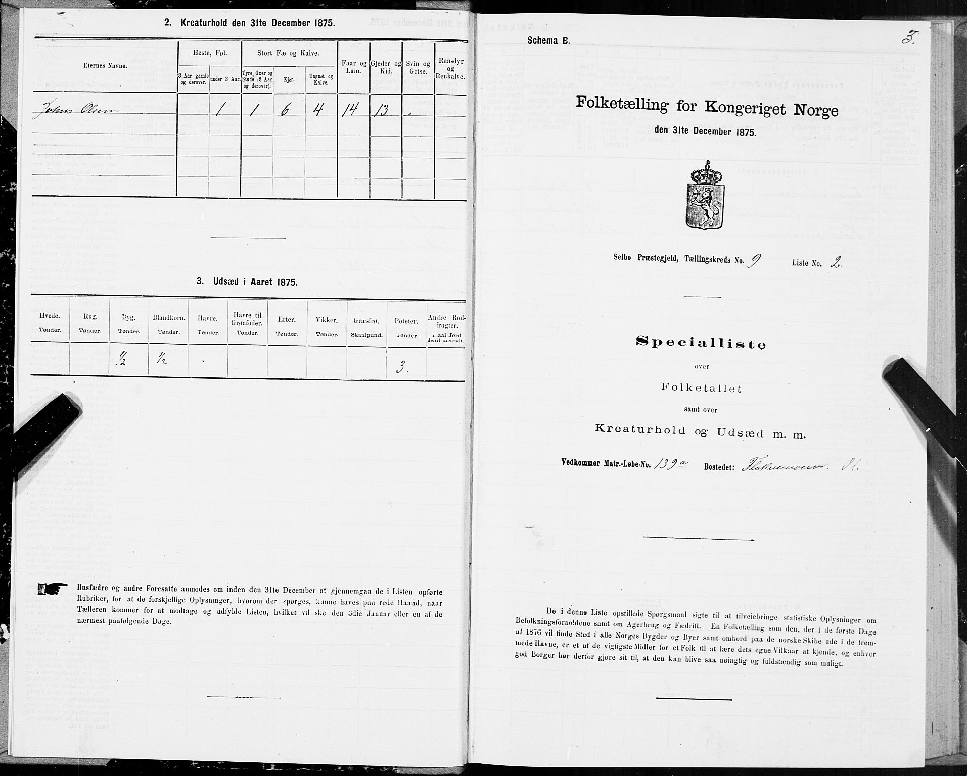 SAT, 1875 census for 1664P Selbu, 1875, p. 5003