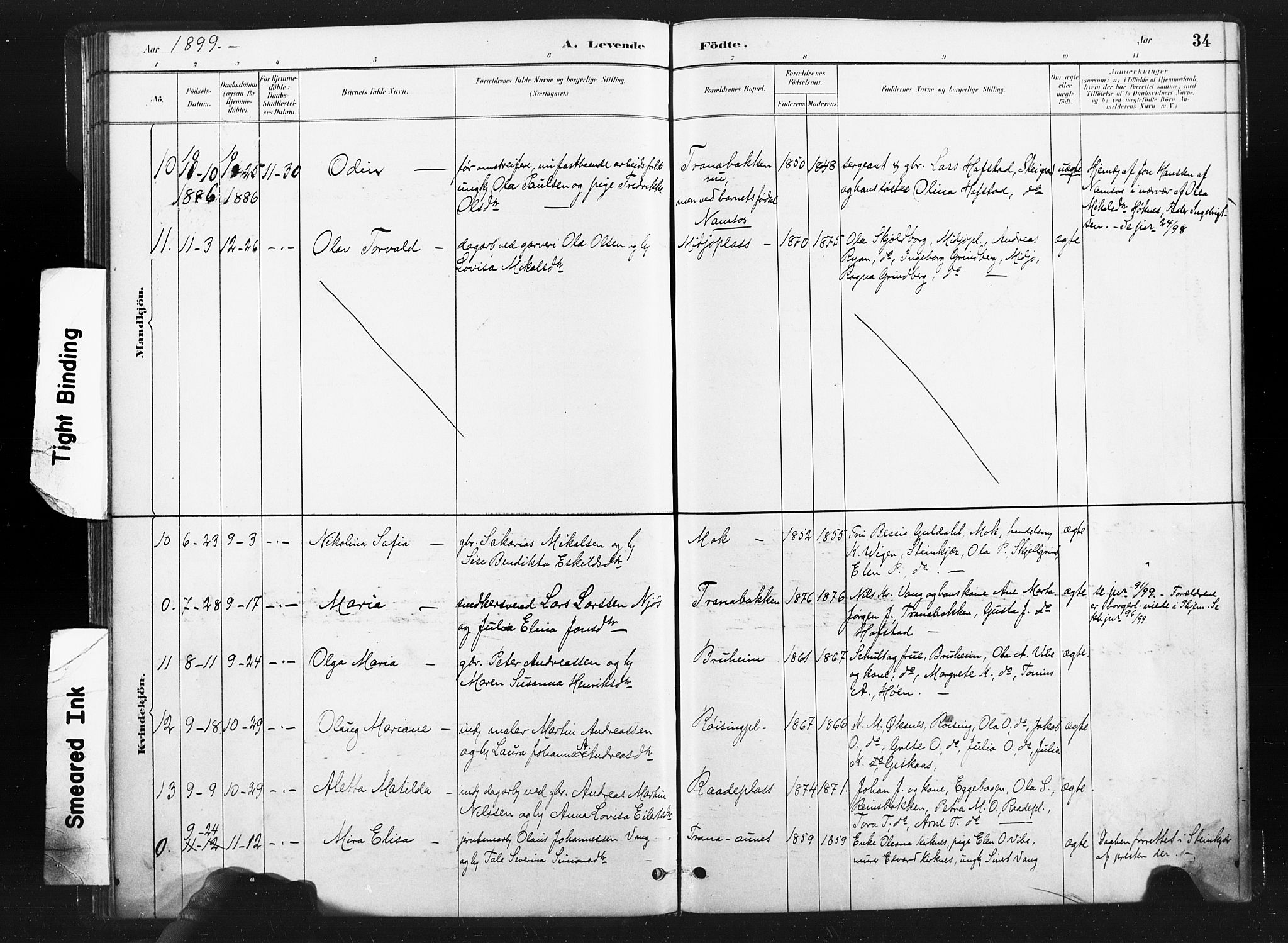 Ministerialprotokoller, klokkerbøker og fødselsregistre - Nord-Trøndelag, SAT/A-1458/736/L0361: Parish register (official) no. 736A01, 1884-1906, p. 34