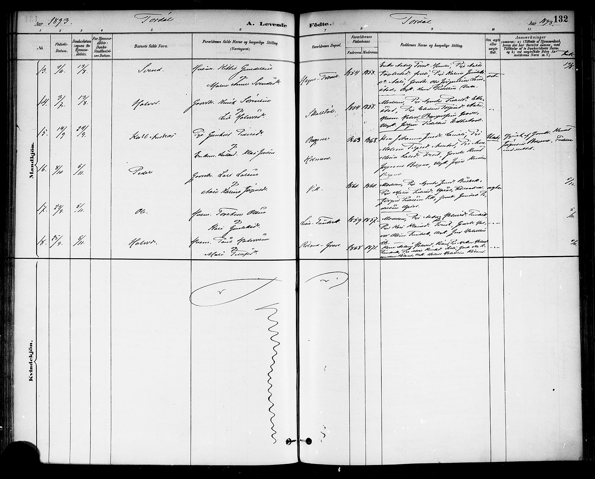 Drangedal kirkebøker, SAKO/A-258/F/Fa/L0010: Parish register (official) no. 10 /2, 1885-1894, p. 132