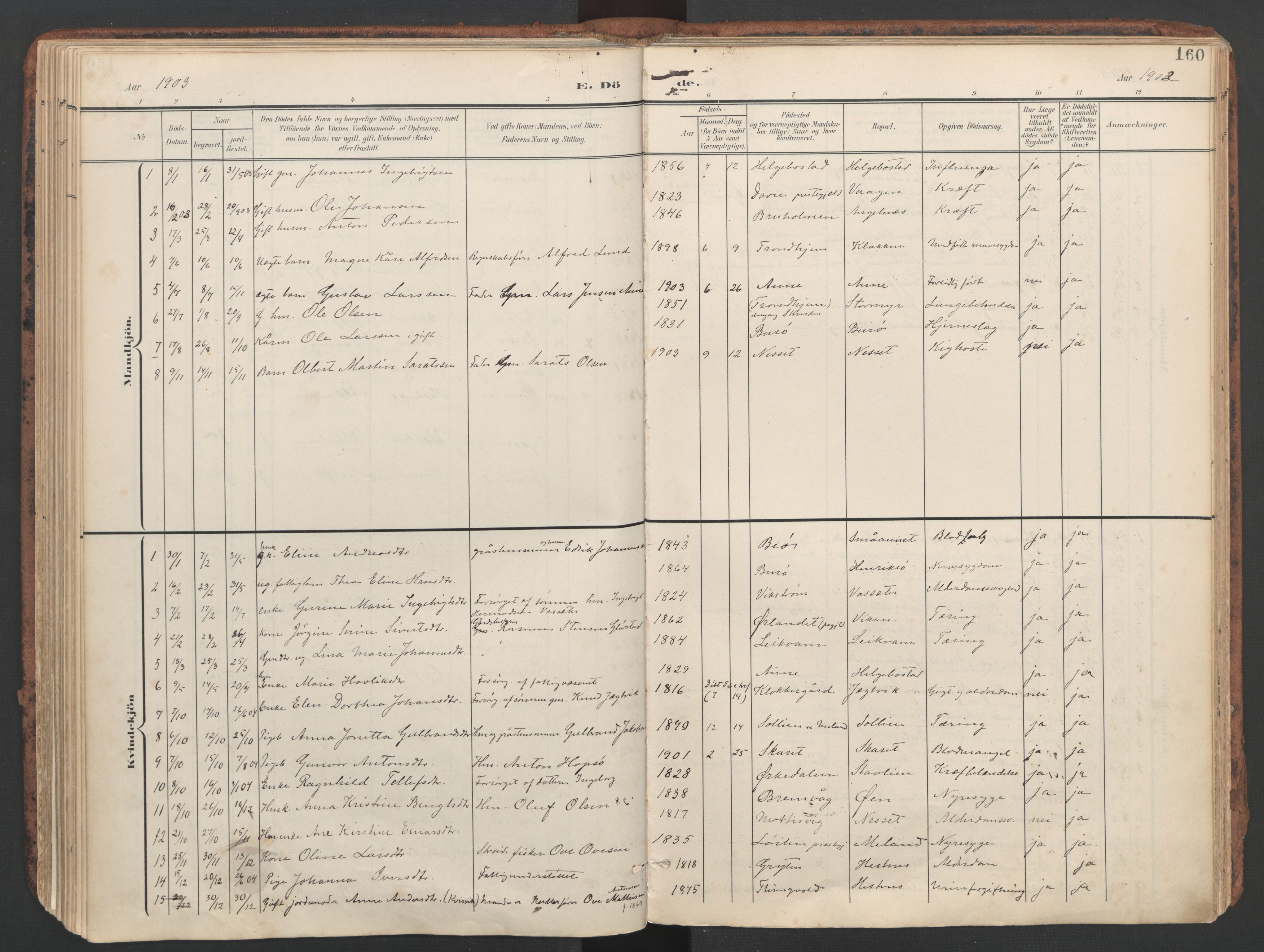 Ministerialprotokoller, klokkerbøker og fødselsregistre - Sør-Trøndelag, SAT/A-1456/634/L0537: Parish register (official) no. 634A13, 1896-1922, p. 160