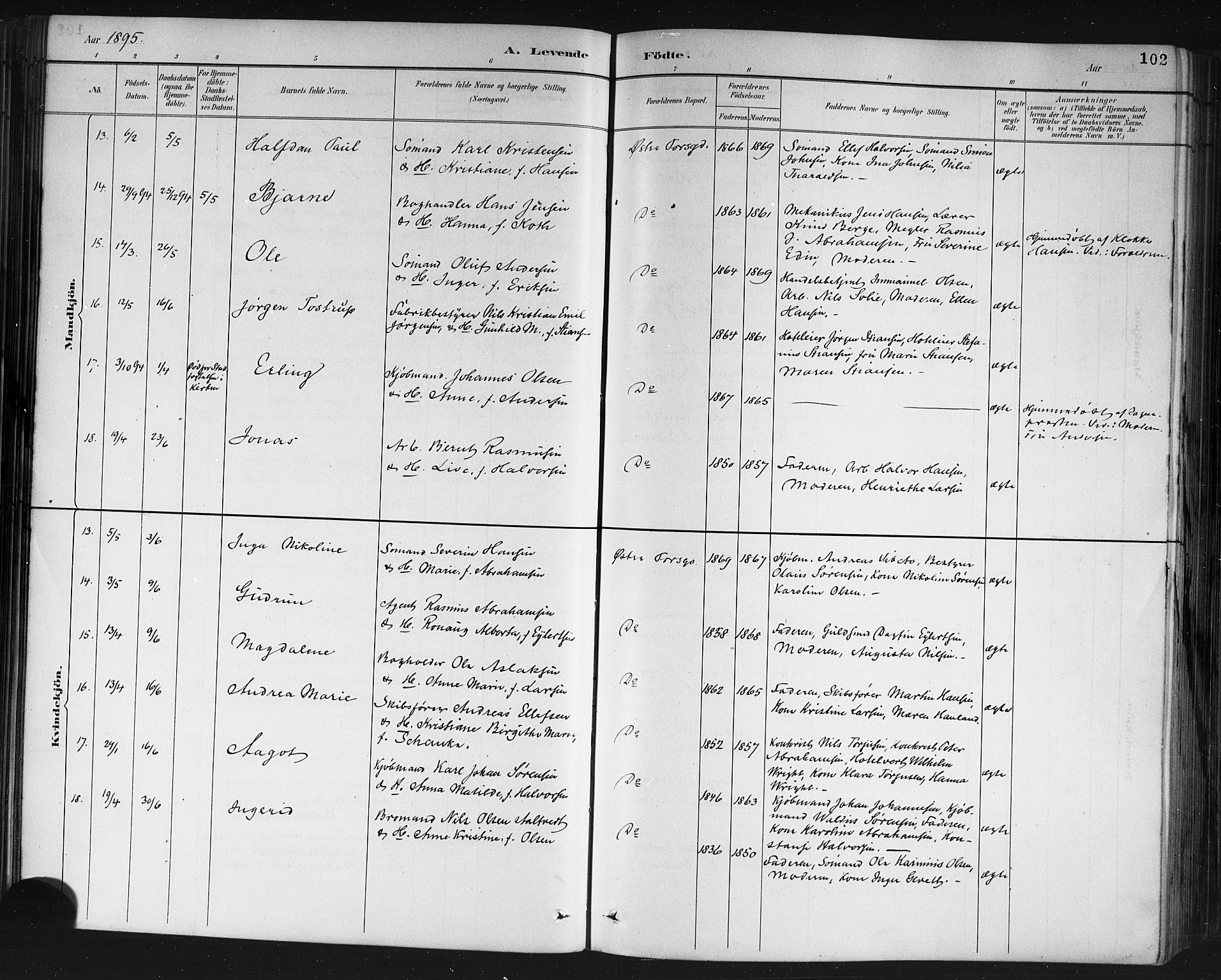 Porsgrunn kirkebøker , AV/SAKO-A-104/G/Gb/L0005: Parish register (copy) no. II 5, 1883-1915, p. 102