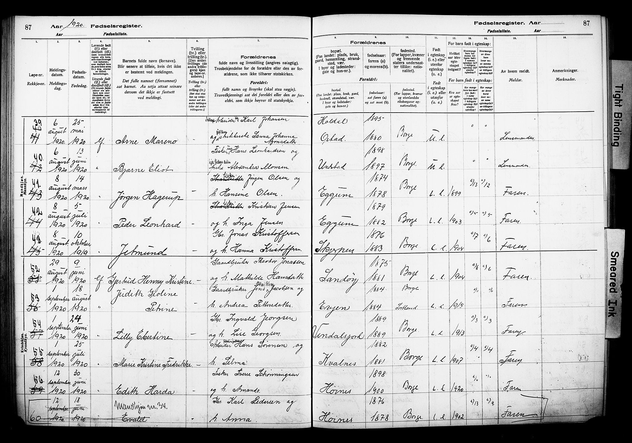 Ministerialprotokoller, klokkerbøker og fødselsregistre - Nordland, AV/SAT-A-1459/880/L1145: Birth register no. 880.II.4.1, 1916-1929, p. 87