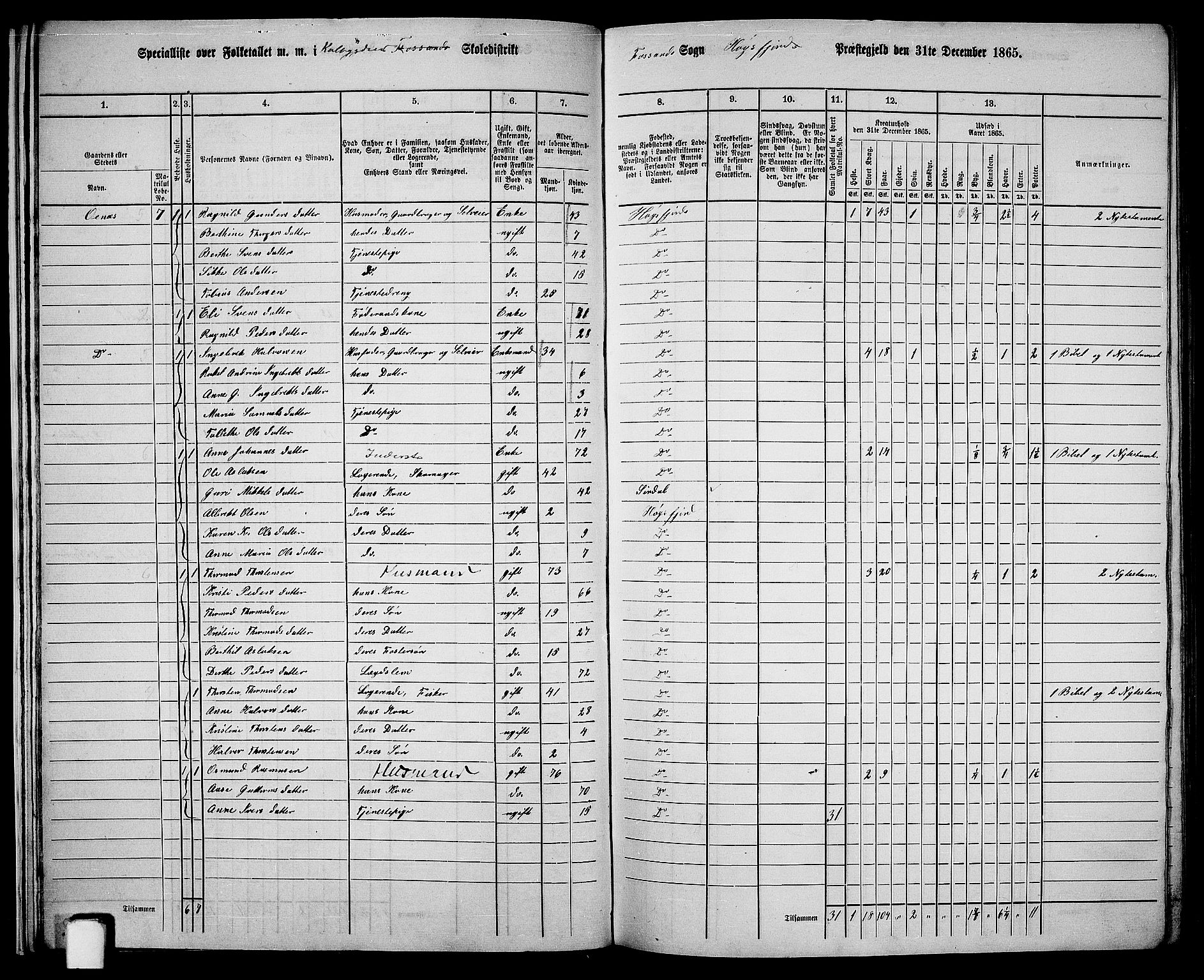 RA, 1865 census for Høgsfjord, 1865, p. 16