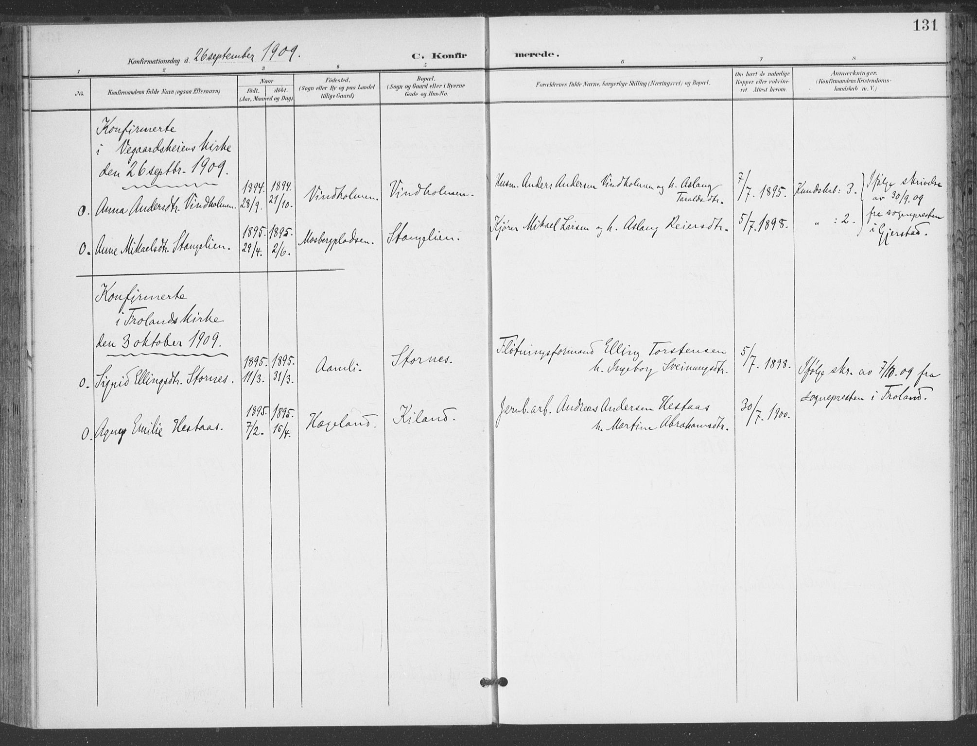 Åmli sokneprestkontor, AV/SAK-1111-0050/F/Fa/Fac/L0012: Parish register (official) no. A 12, 1900-1914, p. 131