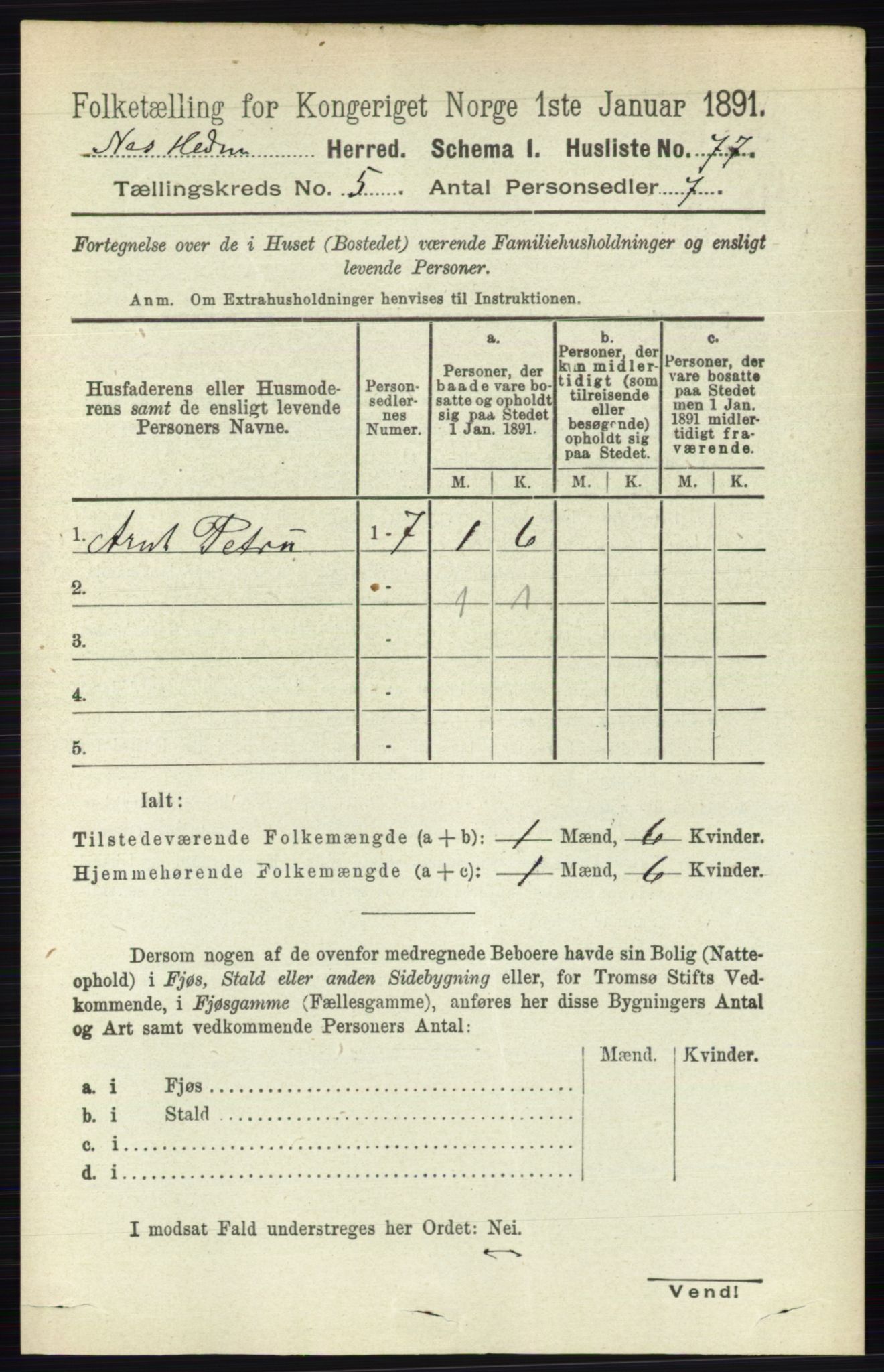 RA, 1891 census for 0411 Nes, 1891, p. 2597