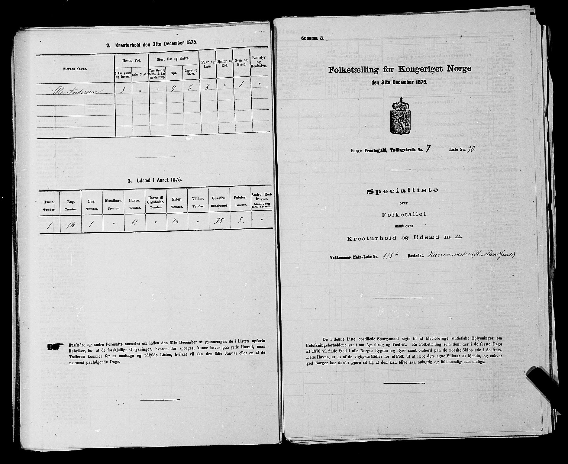 RA, 1875 census for 0113P Borge, 1875, p. 995