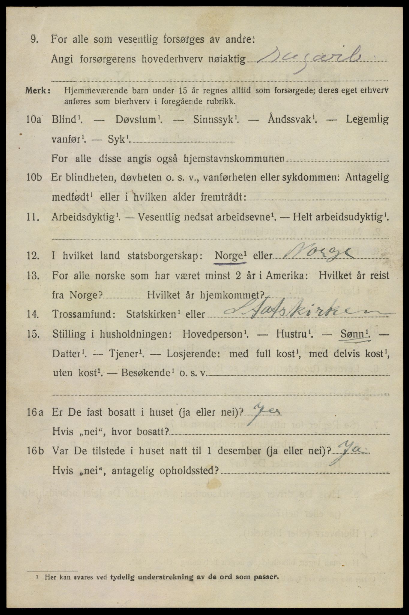 SAKO, 1920 census for Larvik, 1920, p. 11323