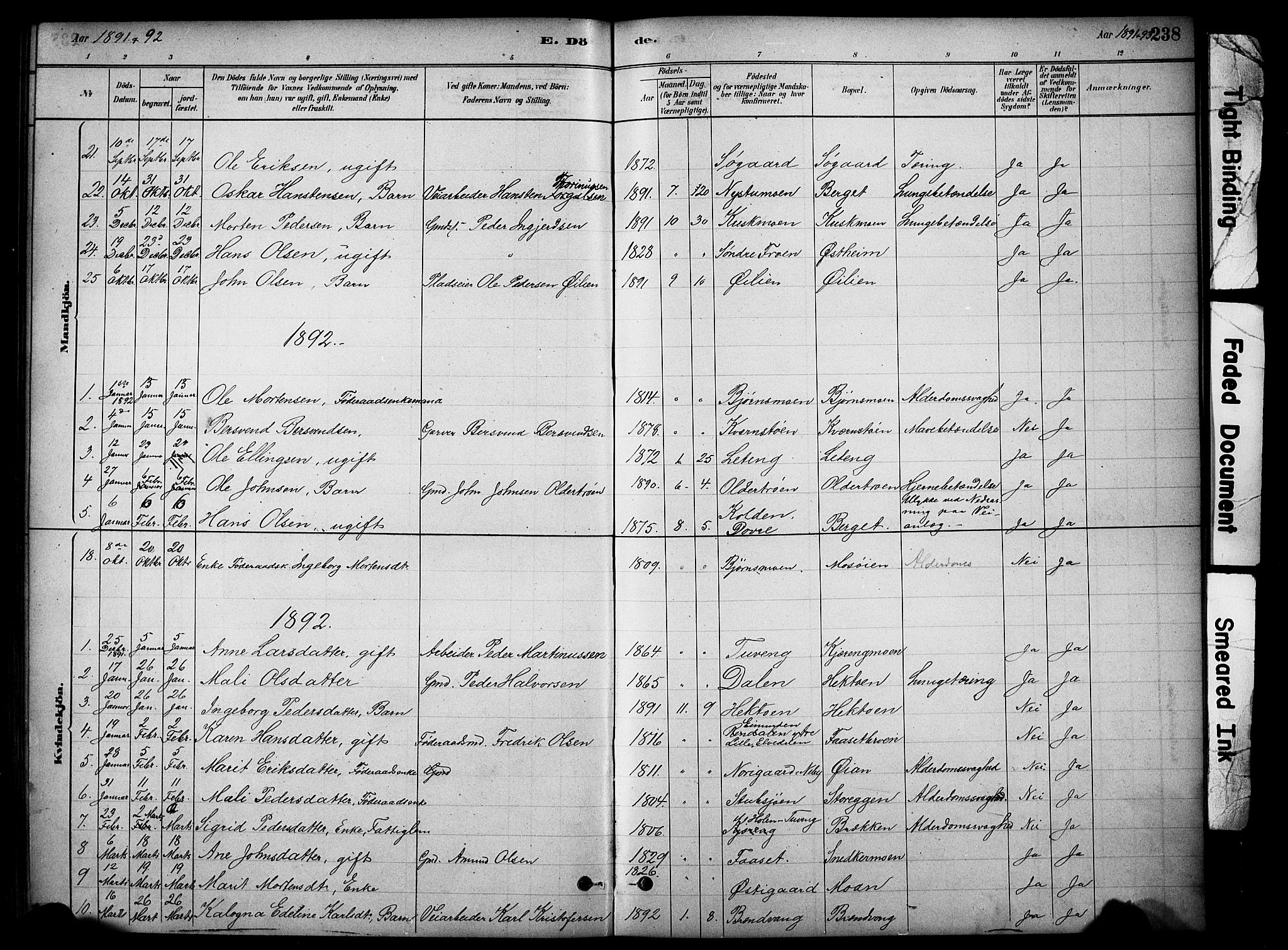 Tynset prestekontor, SAH/PREST-058/H/Ha/Hab/L0006: Parish register (copy) no. 6, 1880-1899, p. 238