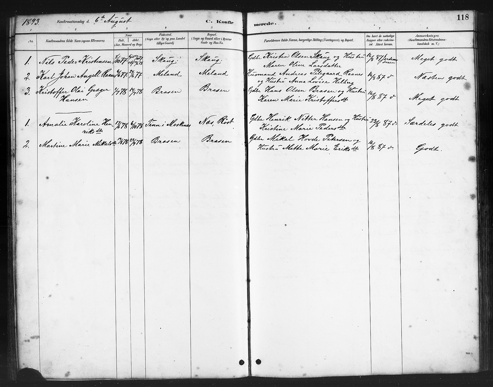 Ministerialprotokoller, klokkerbøker og fødselsregistre - Nordland, AV/SAT-A-1459/808/L0131: Parish register (copy) no. 808C02, 1879-1919, p. 118