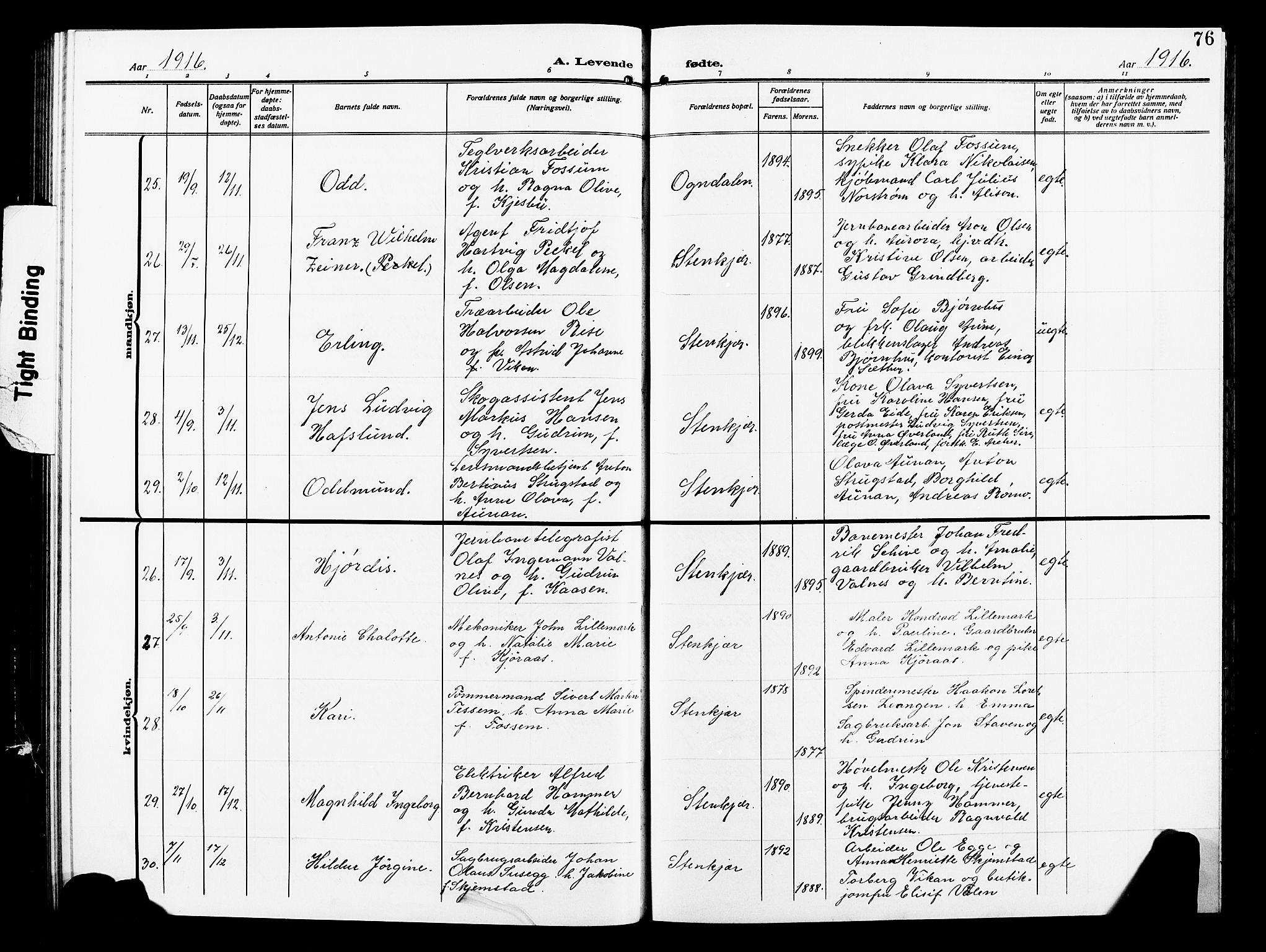 Ministerialprotokoller, klokkerbøker og fødselsregistre - Nord-Trøndelag, AV/SAT-A-1458/739/L0376: Parish register (copy) no. 739C04, 1908-1917, p. 76