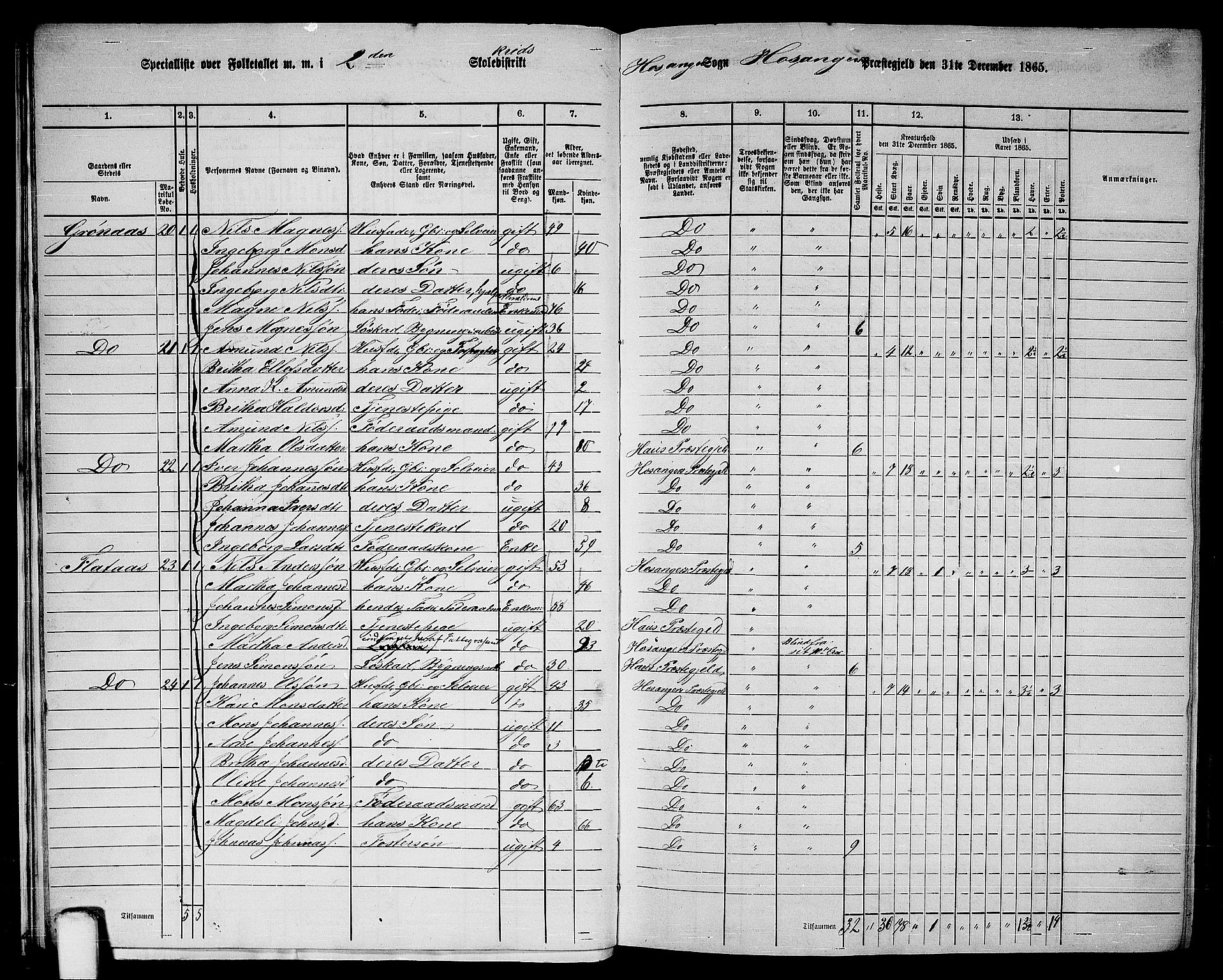 RA, 1865 census for Hosanger, 1865, p. 23