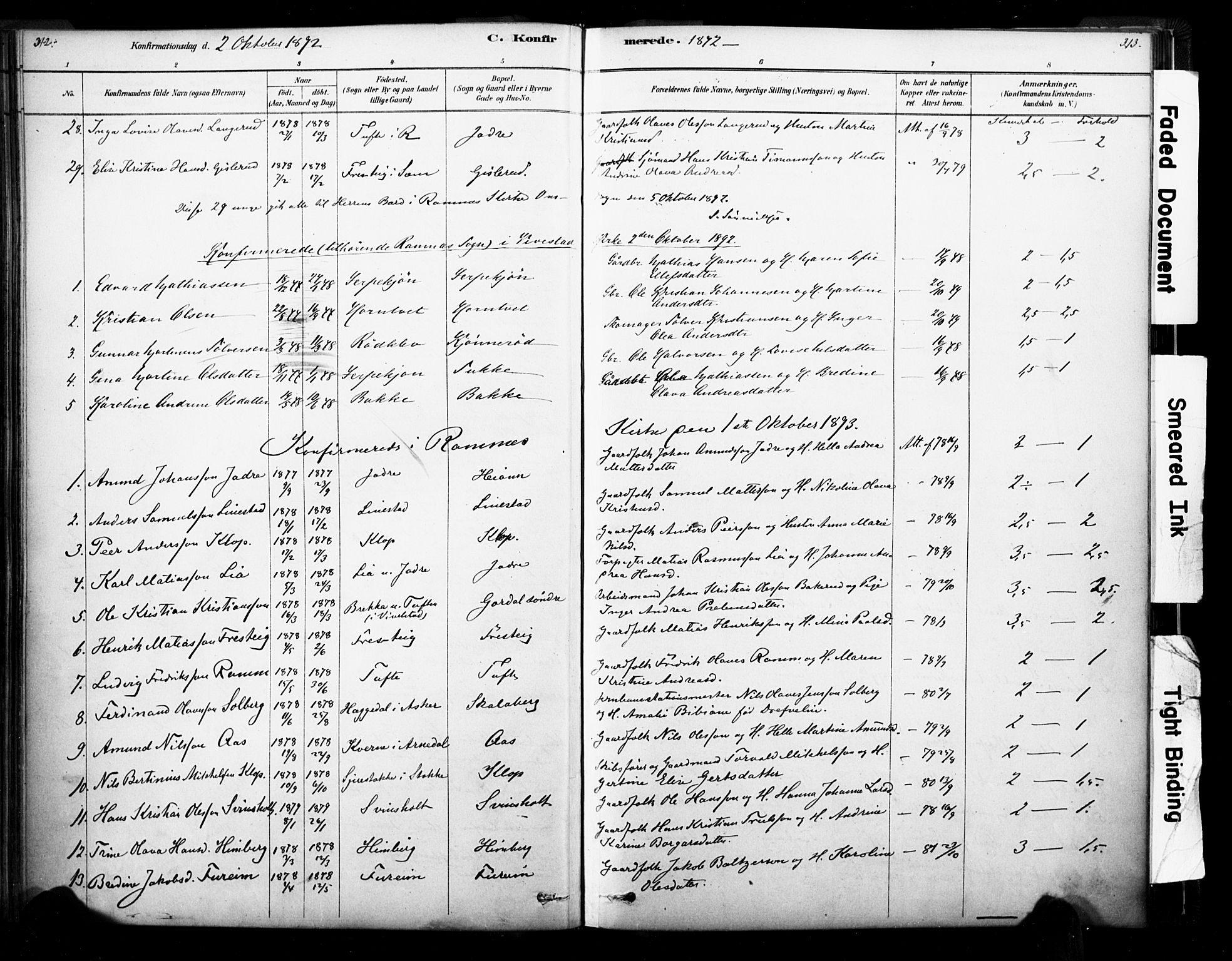 Ramnes kirkebøker, AV/SAKO-A-314/F/Fa/L0007: Parish register (official) no. I 7, 1878-1895, p. 312-313