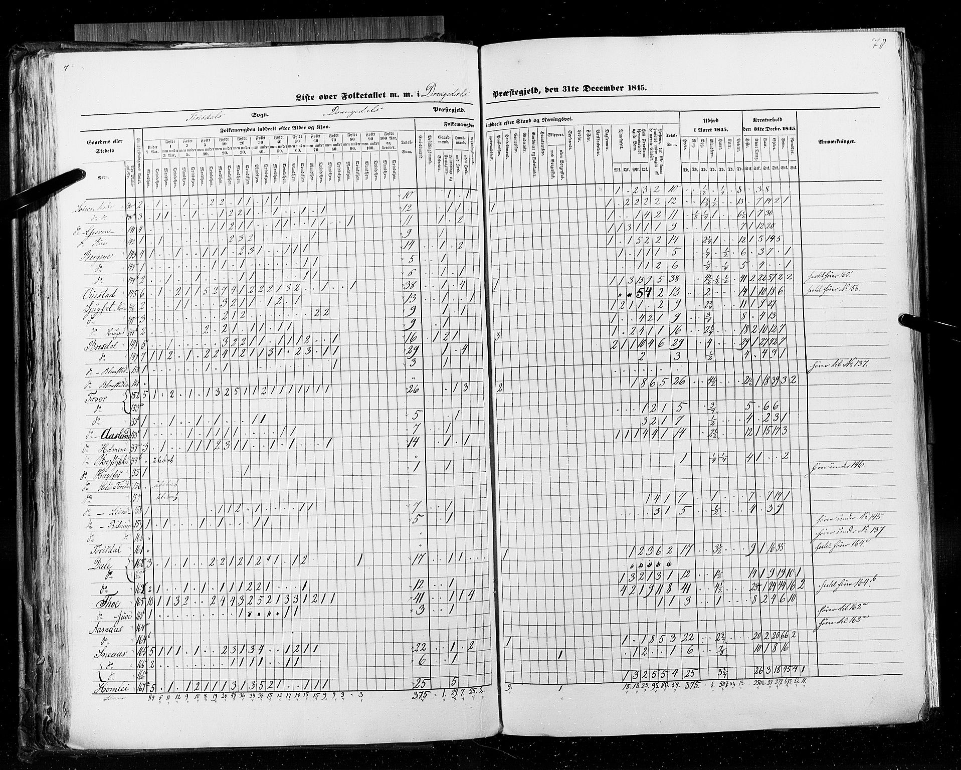 RA, Census 1845, vol. 5: Bratsberg amt og Nedenes og Råbyggelaget amt, 1845, p. 78