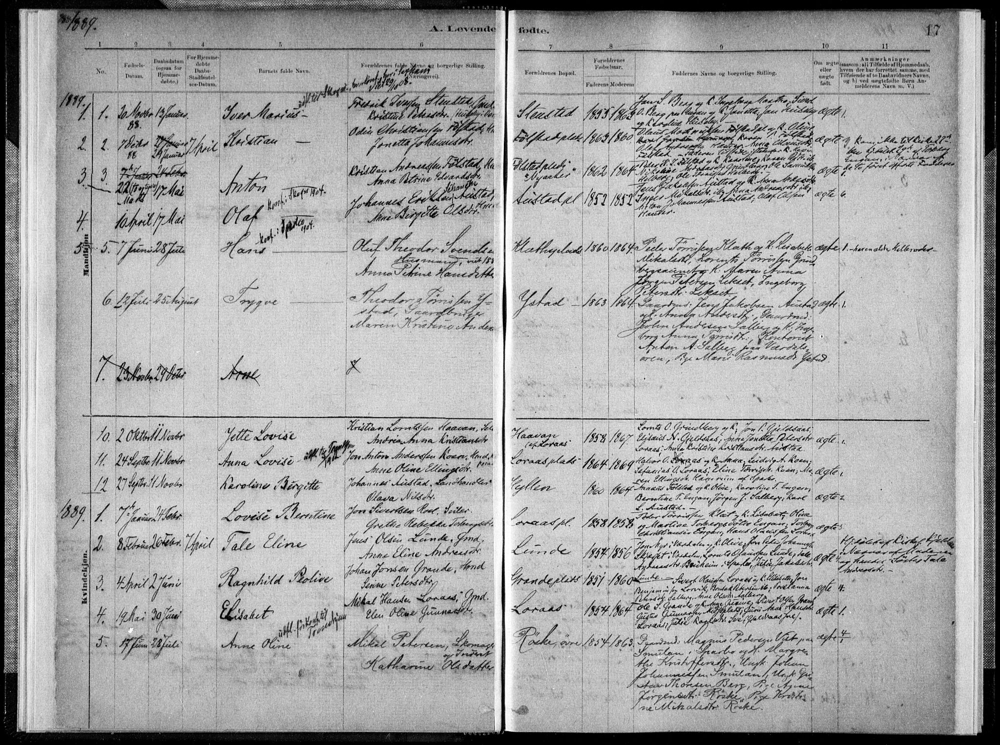 Ministerialprotokoller, klokkerbøker og fødselsregistre - Nord-Trøndelag, SAT/A-1458/731/L0309: Parish register (official) no. 731A01, 1879-1918, p. 17