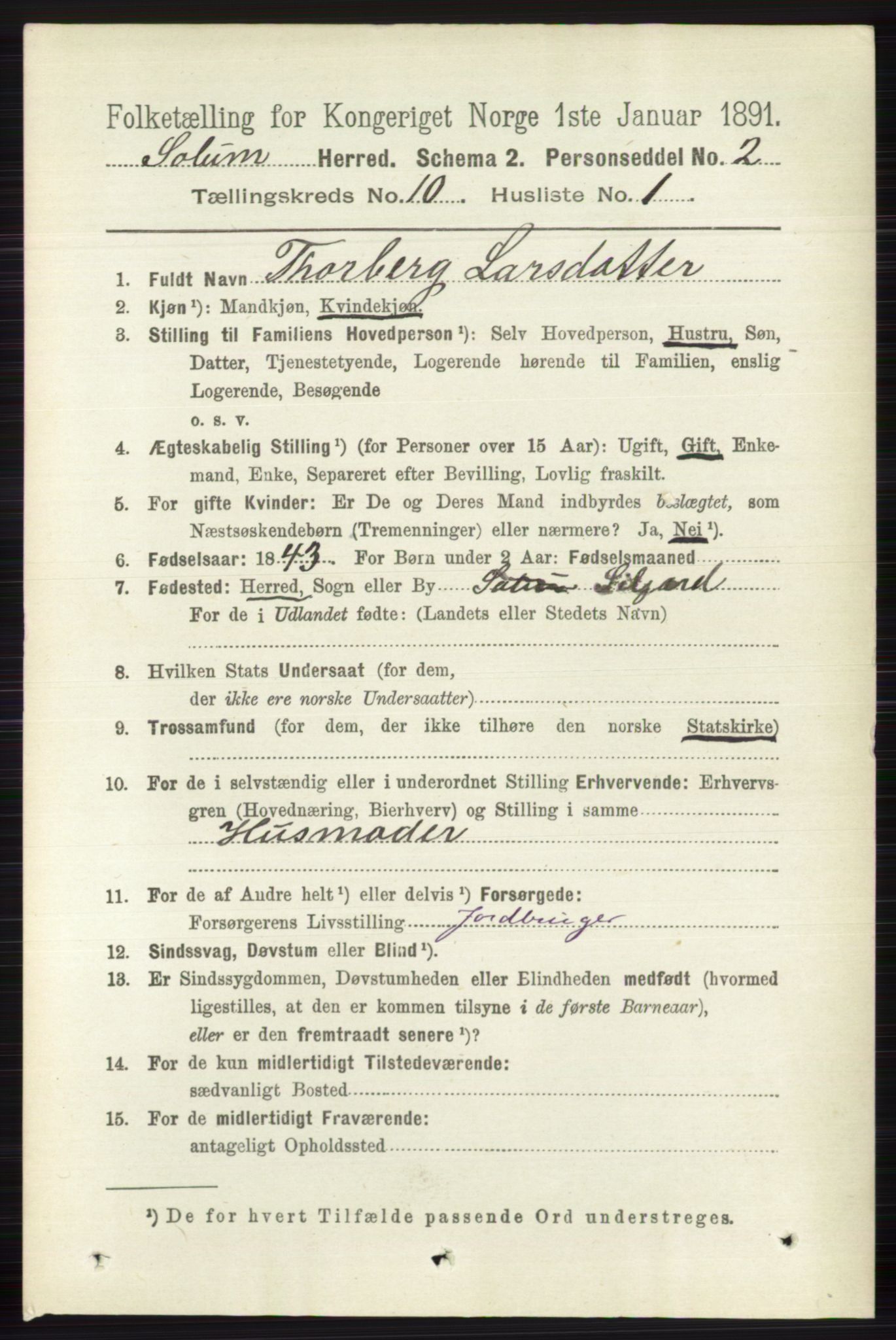 RA, 1891 census for 0818 Solum, 1891, p. 4691