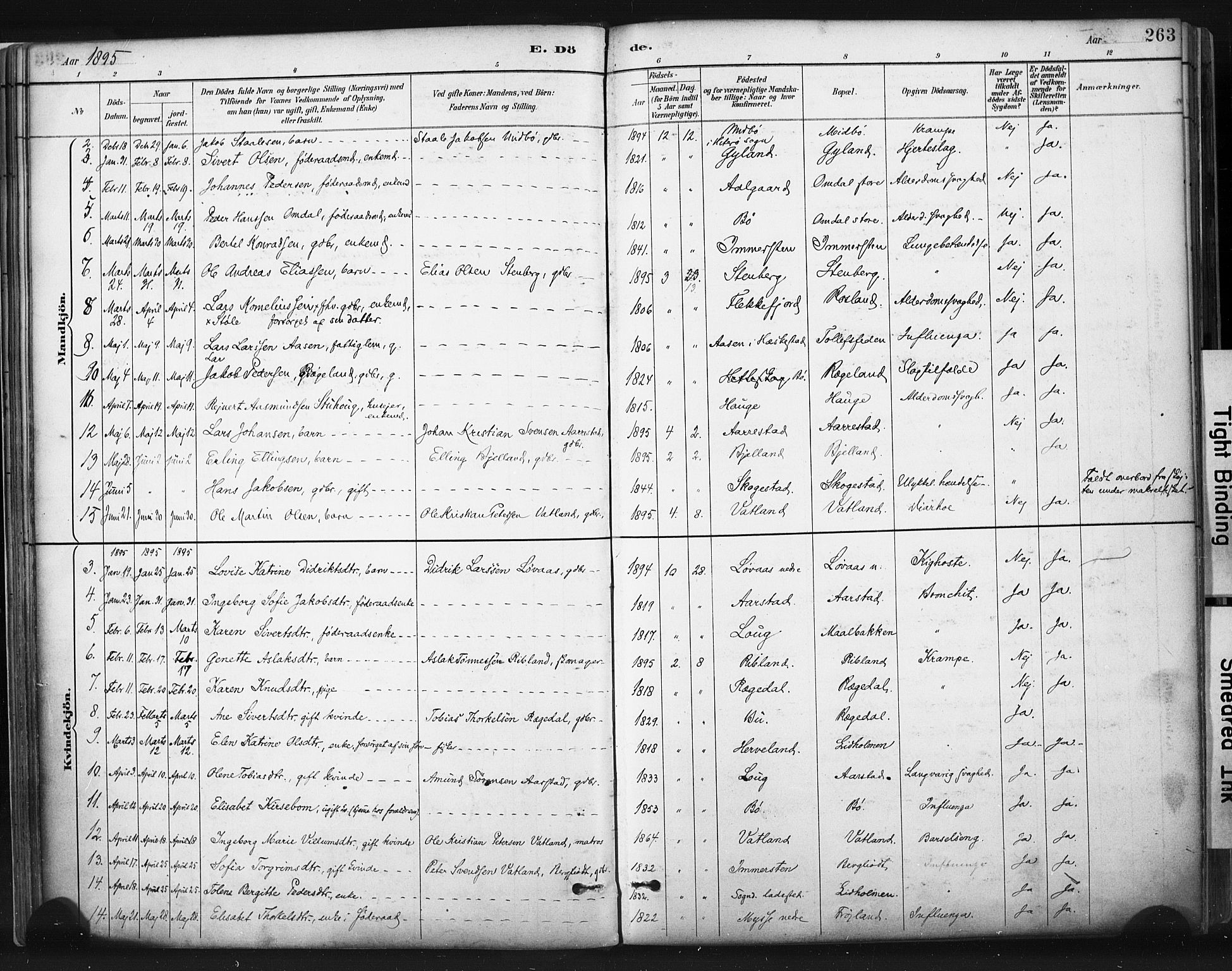 Sokndal sokneprestkontor, AV/SAST-A-101808: Parish register (official) no. A 11.2, 1887-1905, p. 263