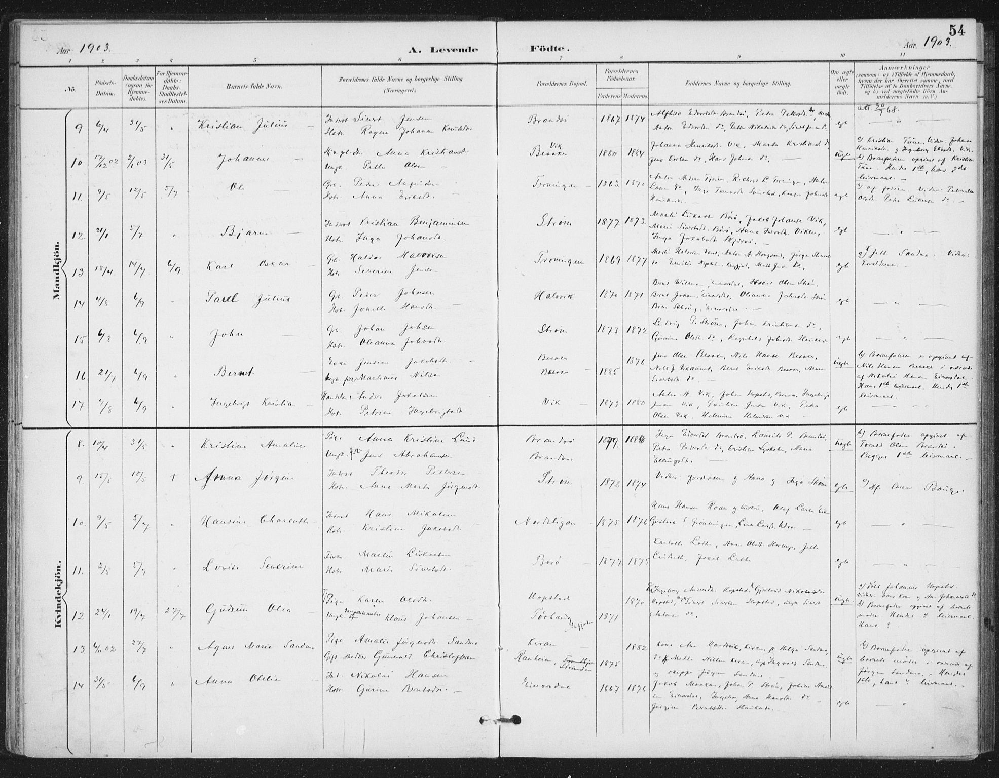 Ministerialprotokoller, klokkerbøker og fødselsregistre - Sør-Trøndelag, SAT/A-1456/657/L0708: Parish register (official) no. 657A09, 1894-1904, p. 54
