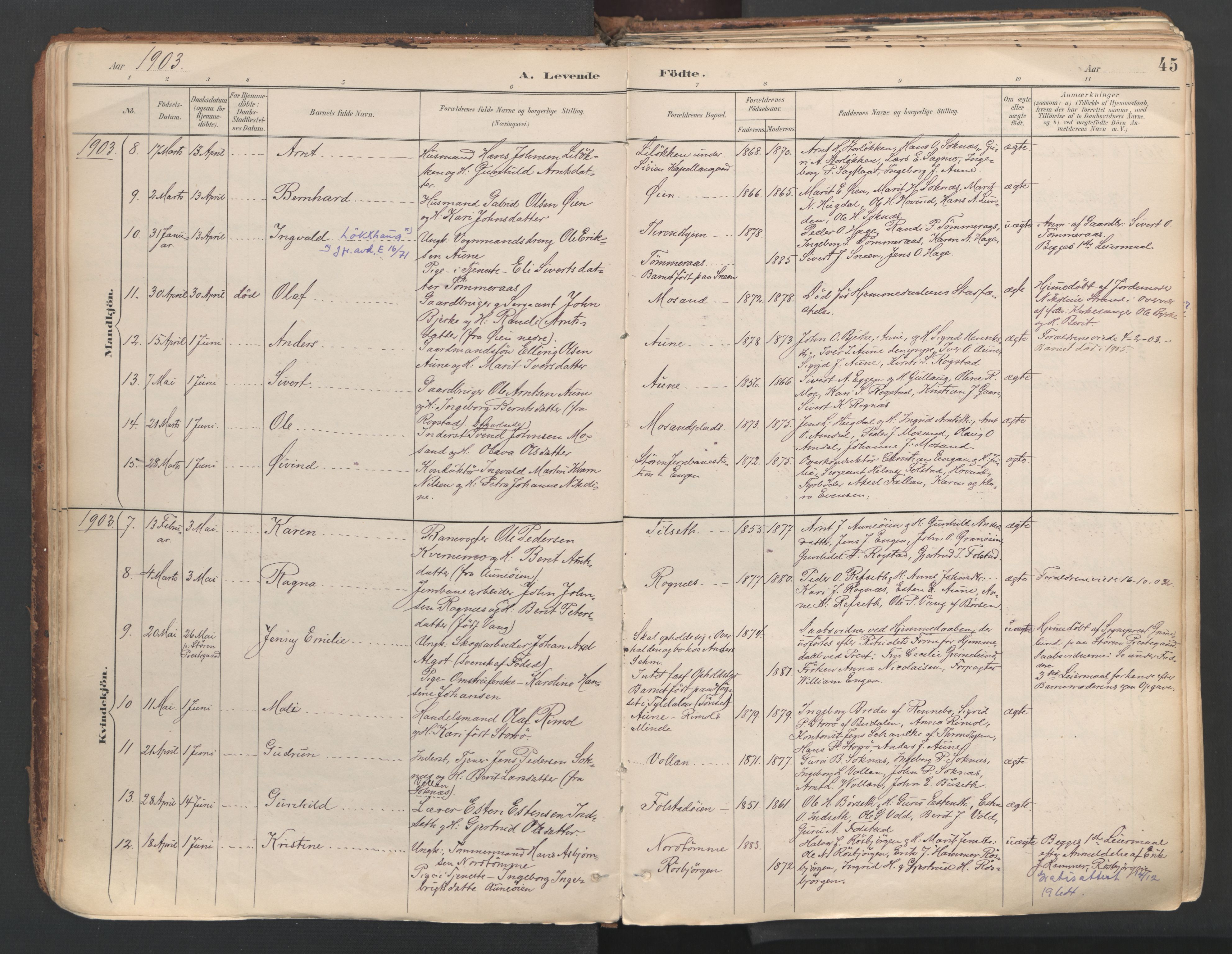 Ministerialprotokoller, klokkerbøker og fødselsregistre - Sør-Trøndelag, SAT/A-1456/687/L1004: Parish register (official) no. 687A10, 1891-1923, p. 45