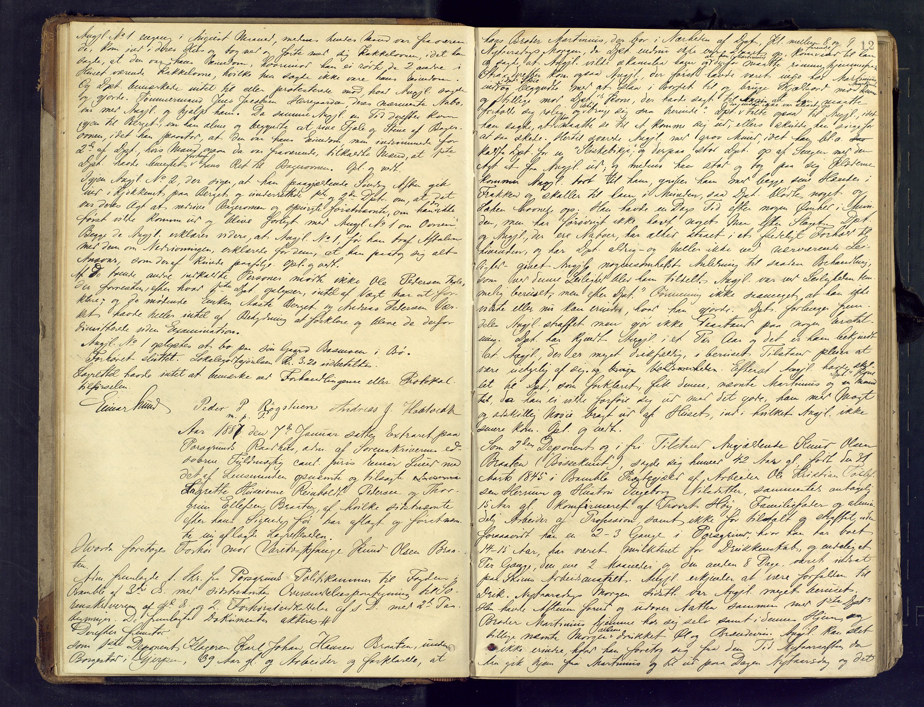 Gjerpen sorenskriveri, AV/SAKO-A-216/F/Fb/L0012: Ekstrarettsprotokoll, 1886-1893, p. 12