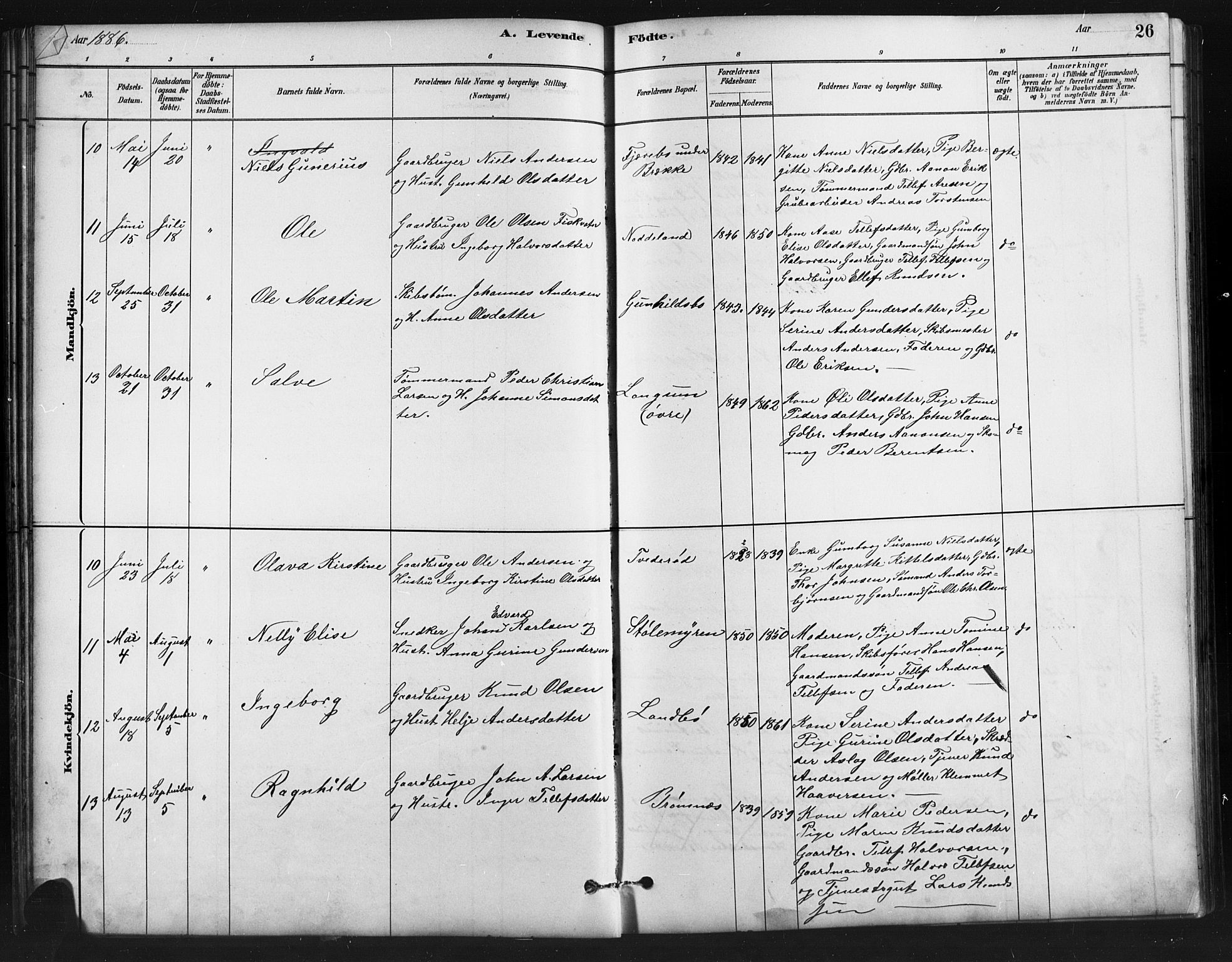 Austre Moland sokneprestkontor, AV/SAK-1111-0001/F/Fb/Fba/L0003: Parish register (copy) no. B 3, 1879-1914, p. 26