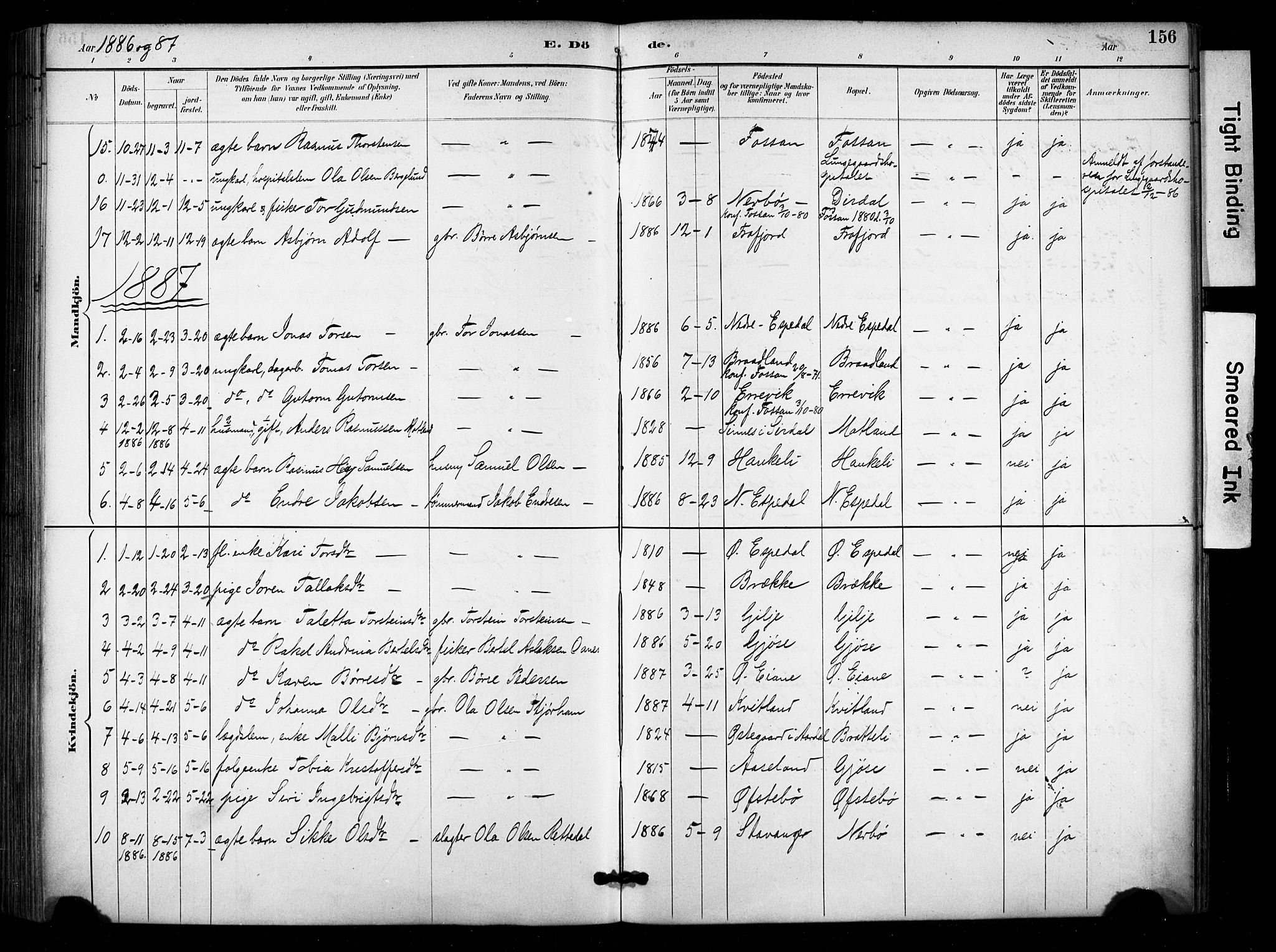 Høgsfjord sokneprestkontor, AV/SAST-A-101624/H/Ha/Haa/L0006: Parish register (official) no. A 6, 1885-1897, p. 156