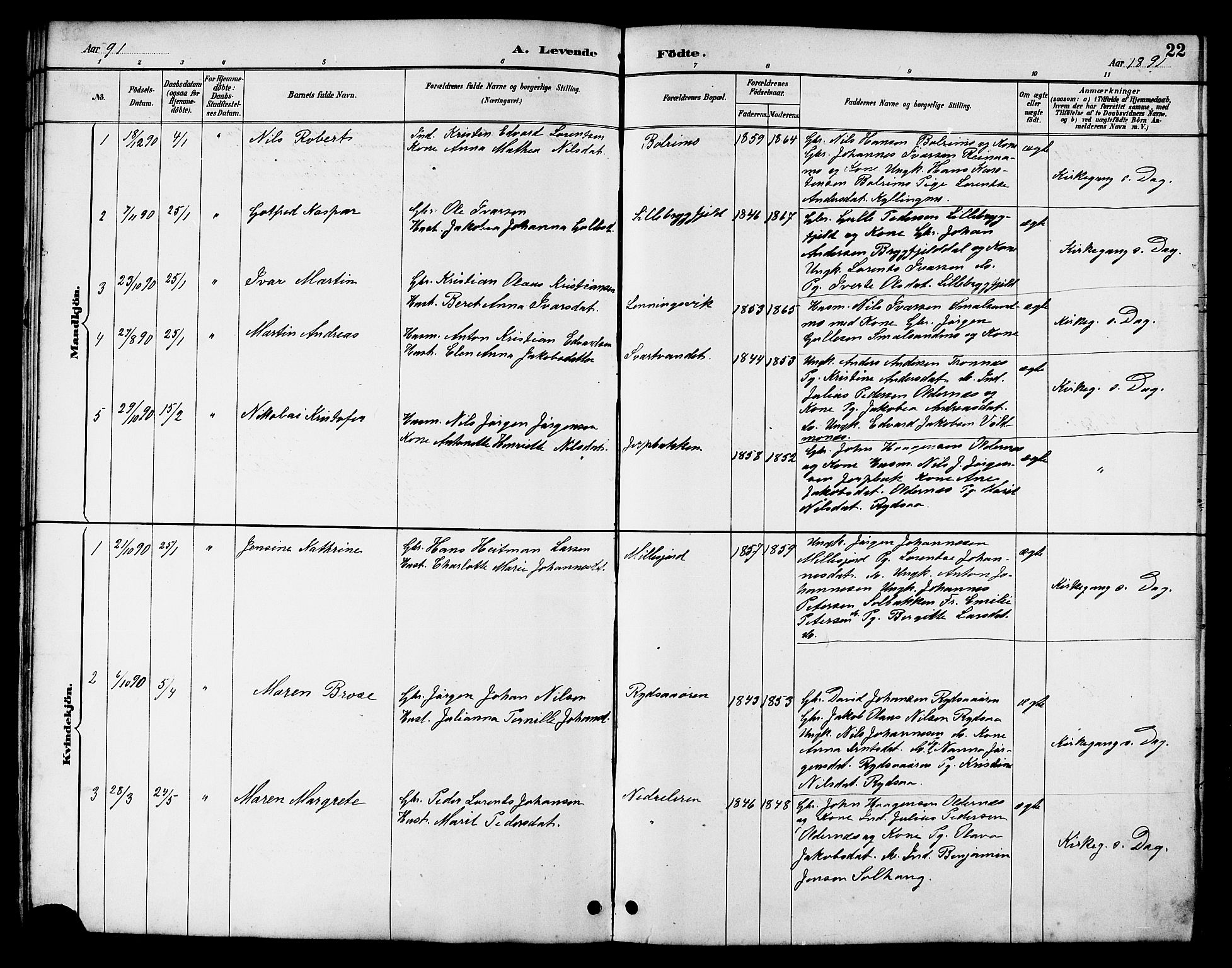 Ministerialprotokoller, klokkerbøker og fødselsregistre - Nordland, AV/SAT-A-1459/826/L0383: Parish register (copy) no. 826C03, 1887-1896, p. 22