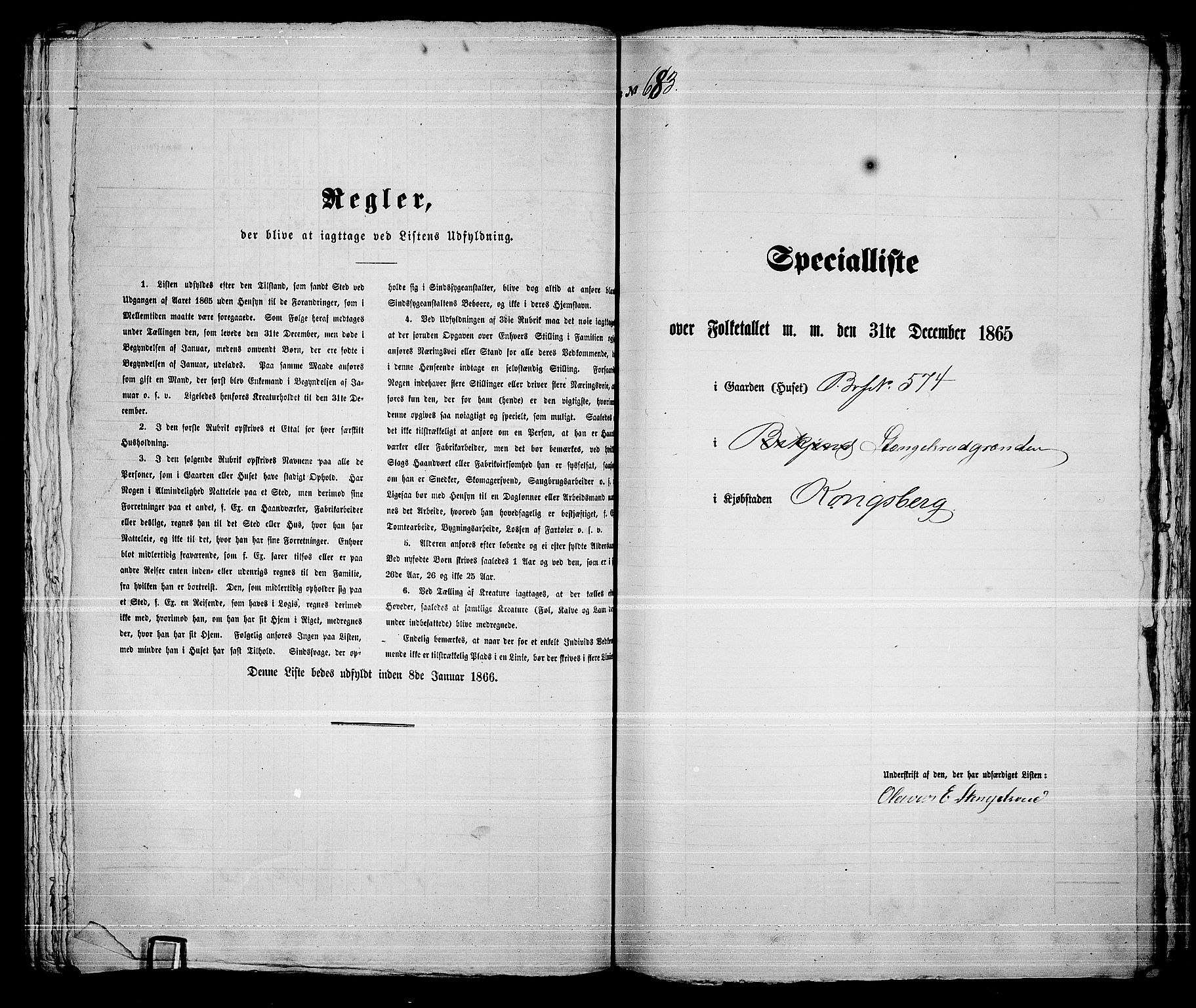 RA, 1865 census for Kongsberg/Kongsberg, 1865, p. 1396