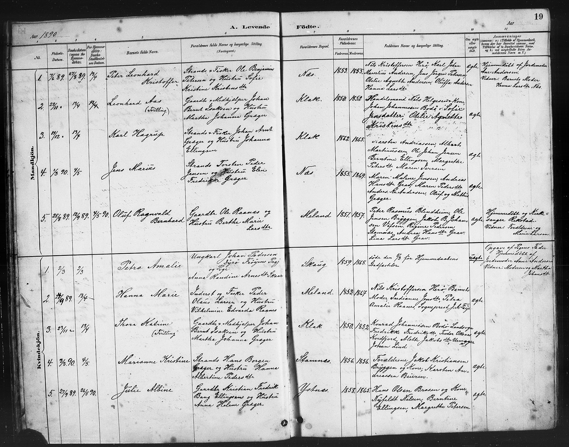 Ministerialprotokoller, klokkerbøker og fødselsregistre - Nordland, AV/SAT-A-1459/808/L0131: Parish register (copy) no. 808C02, 1879-1919, p. 19