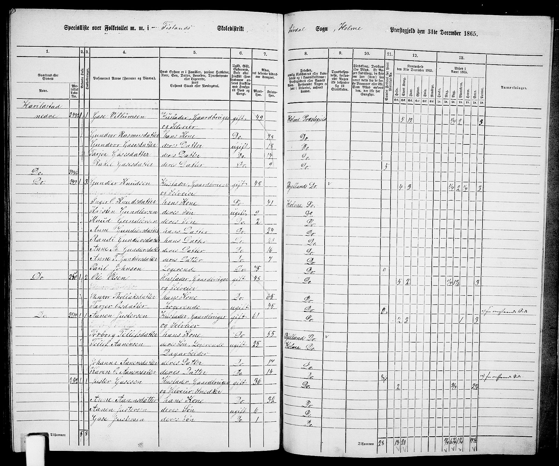 RA, 1865 census for Holum, 1865, p. 160