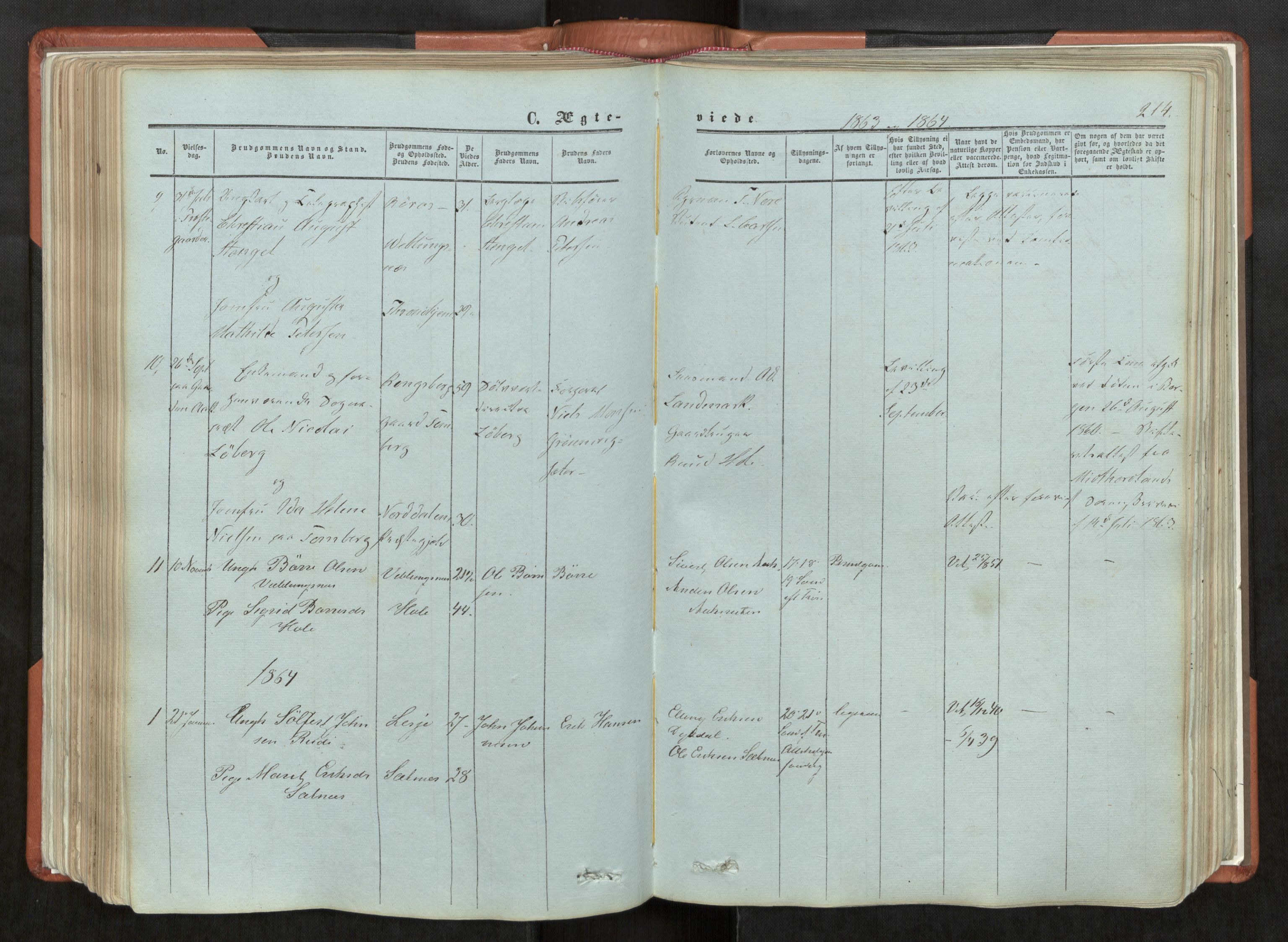 Ministerialprotokoller, klokkerbøker og fødselsregistre - Møre og Romsdal, AV/SAT-A-1454/544/L0572: Parish register (official) no. 544A05, 1854-1886, p. 214