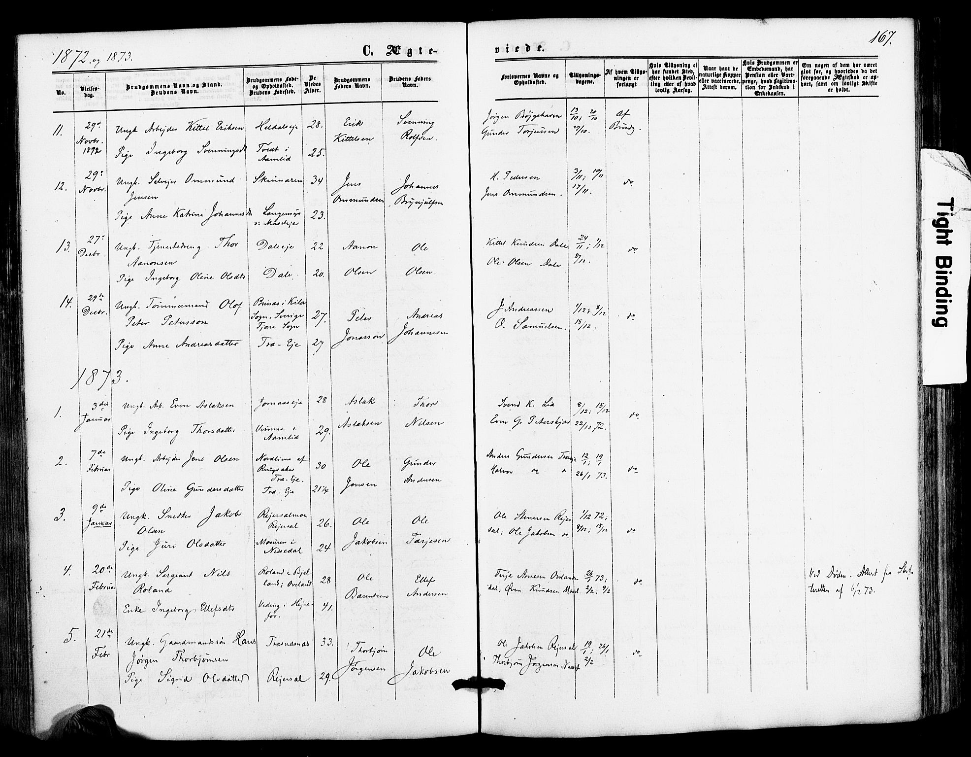 Froland sokneprestkontor, SAK/1111-0013/F/Fa/L0003: Parish register (official) no. A 3, 1864-1881, p. 167