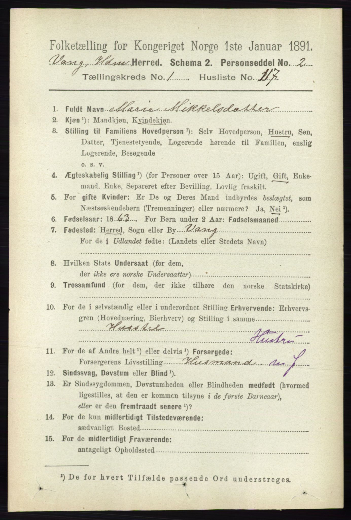 RA, 1891 census for 0414 Vang, 1891, p. 921