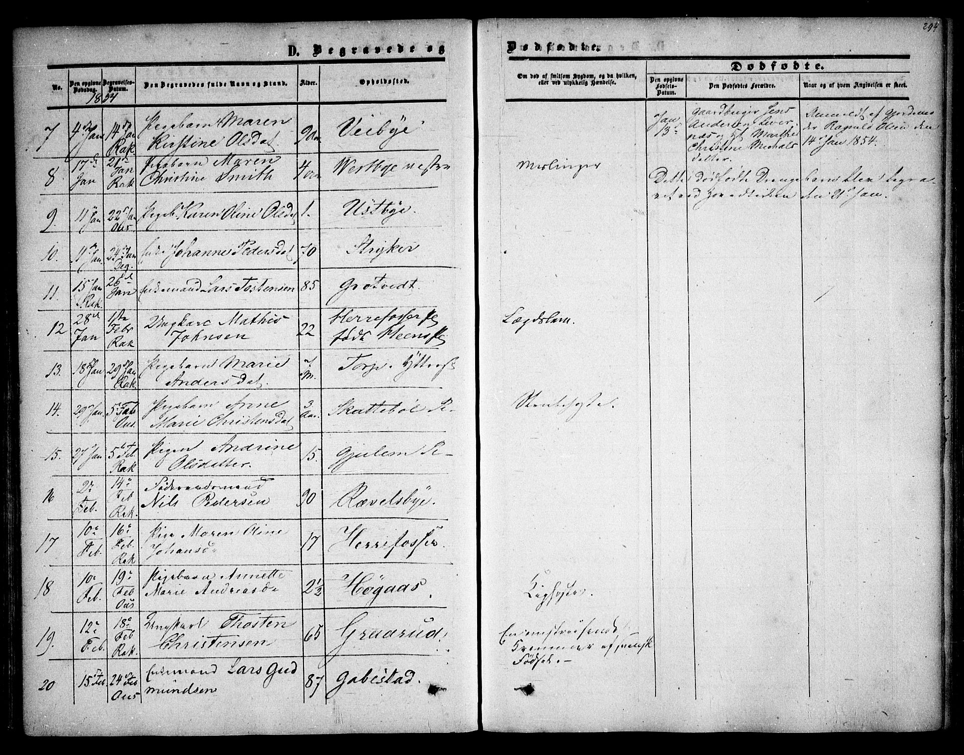 Rakkestad prestekontor Kirkebøker, AV/SAO-A-2008/F/Fa/L0009: Parish register (official) no. I 9, 1850-1856, p. 294