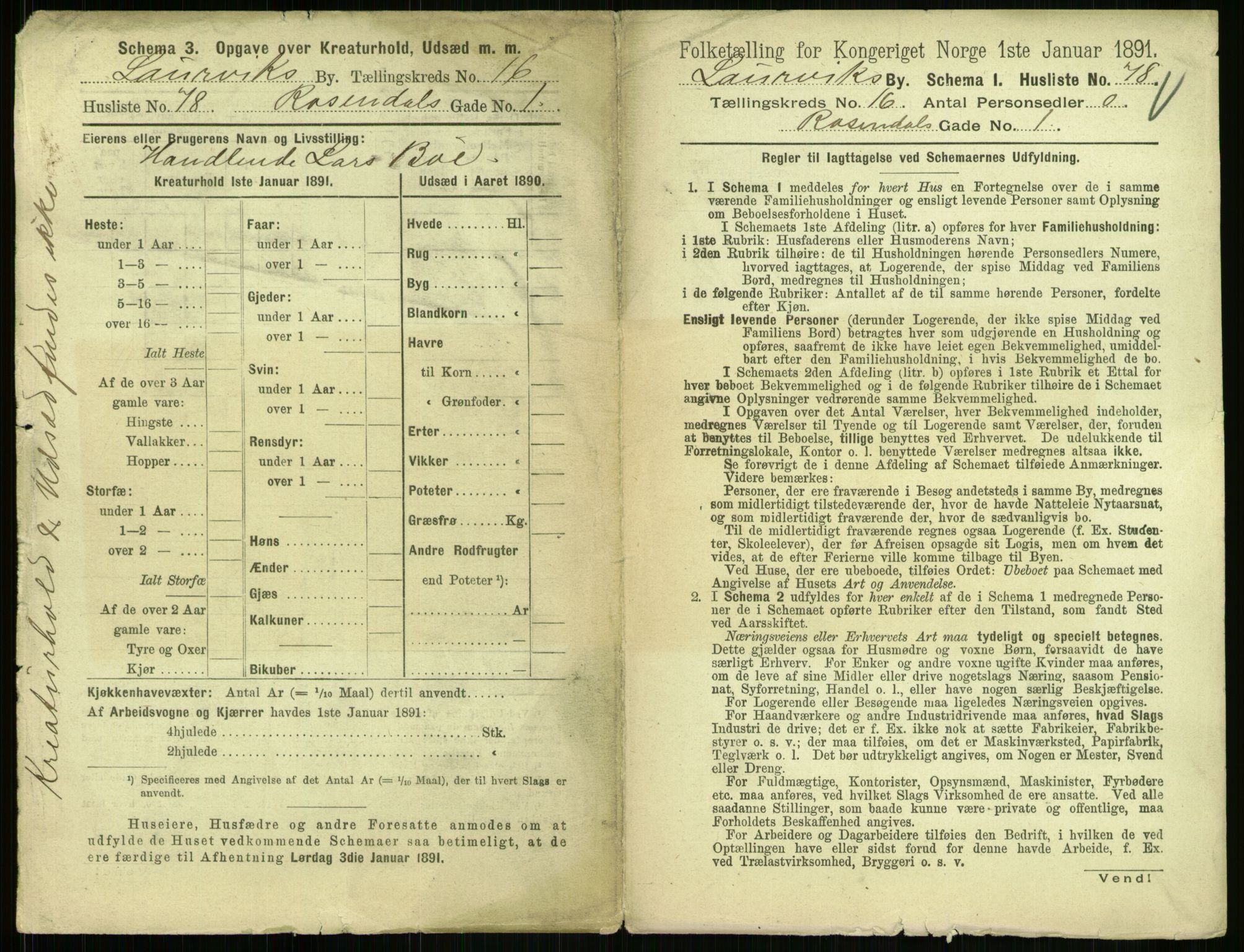 RA, 1891 census for 0707 Larvik, 1891, p. 1905