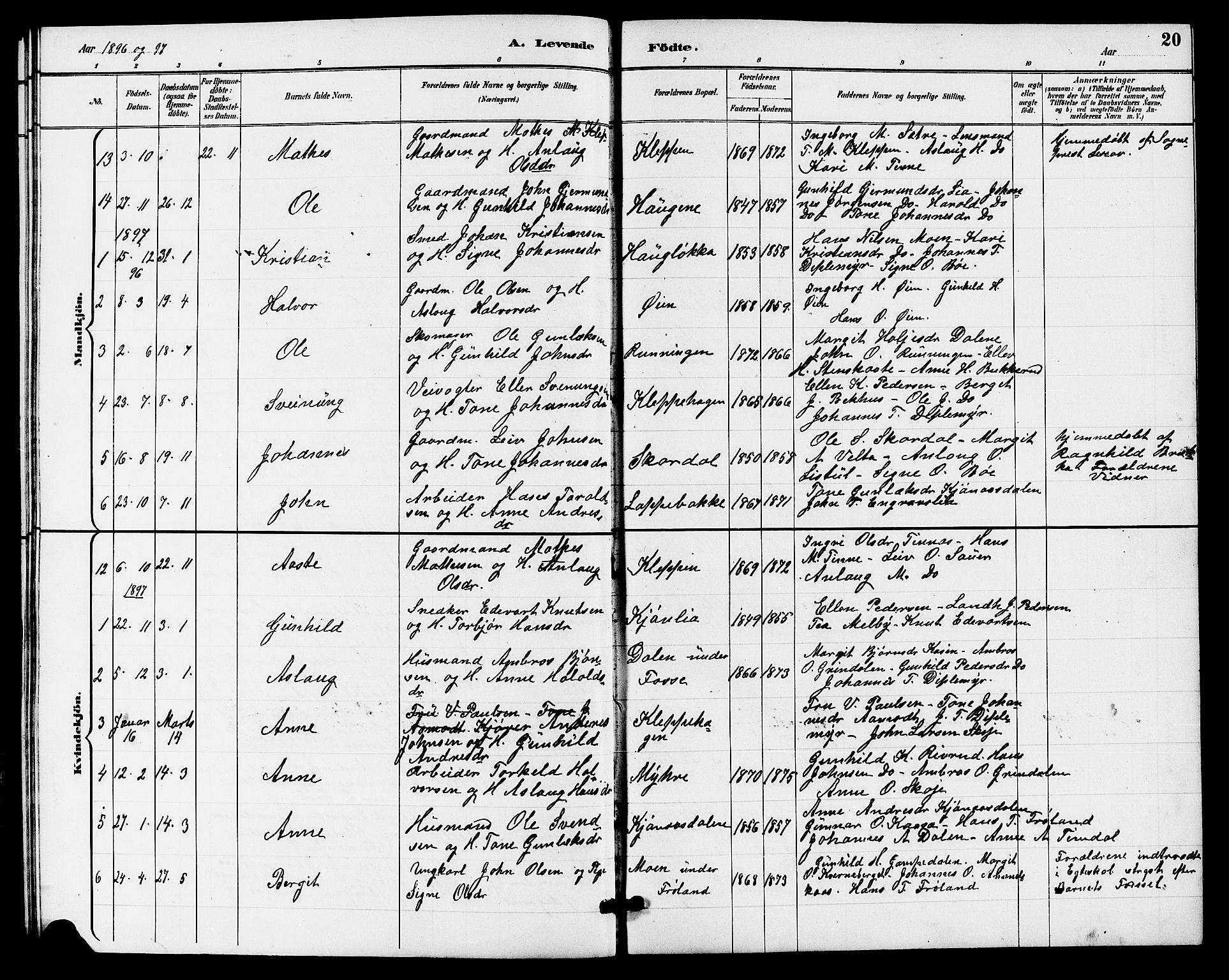 Hjartdal kirkebøker, SAKO/A-270/G/Gb/L0003: Parish register (copy) no. II 3, 1884-1899, p. 20