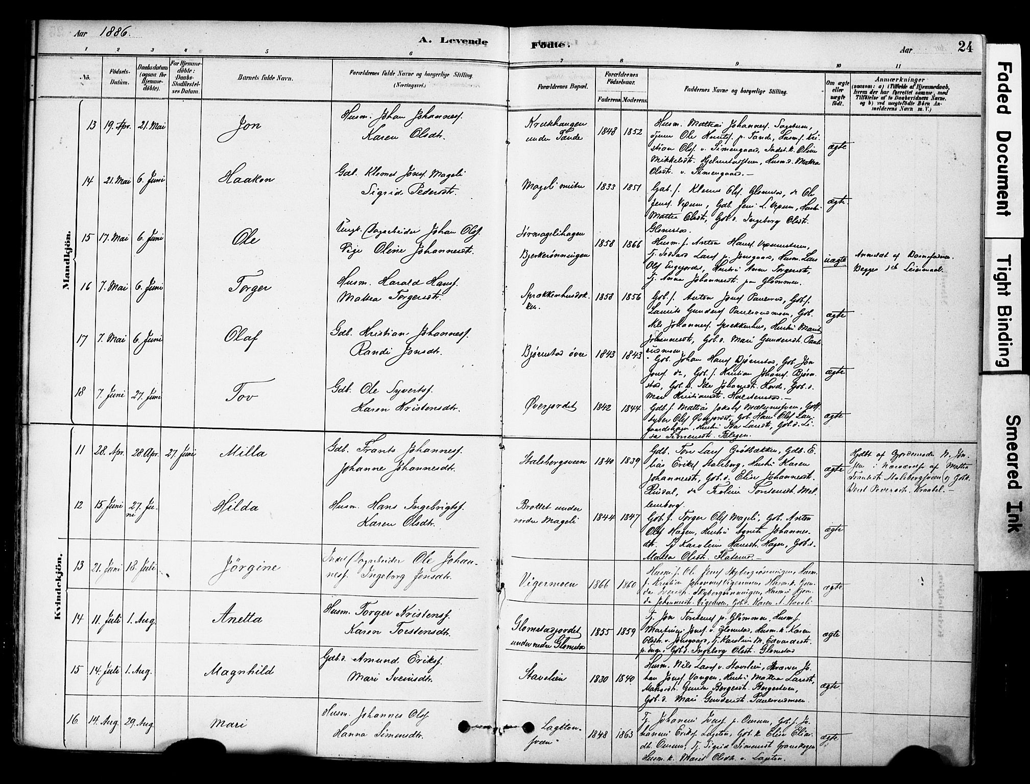 Øyer prestekontor, SAH/PREST-084/H/Ha/Haa/L0009: Parish register (official) no. 9, 1878-1893, p. 24