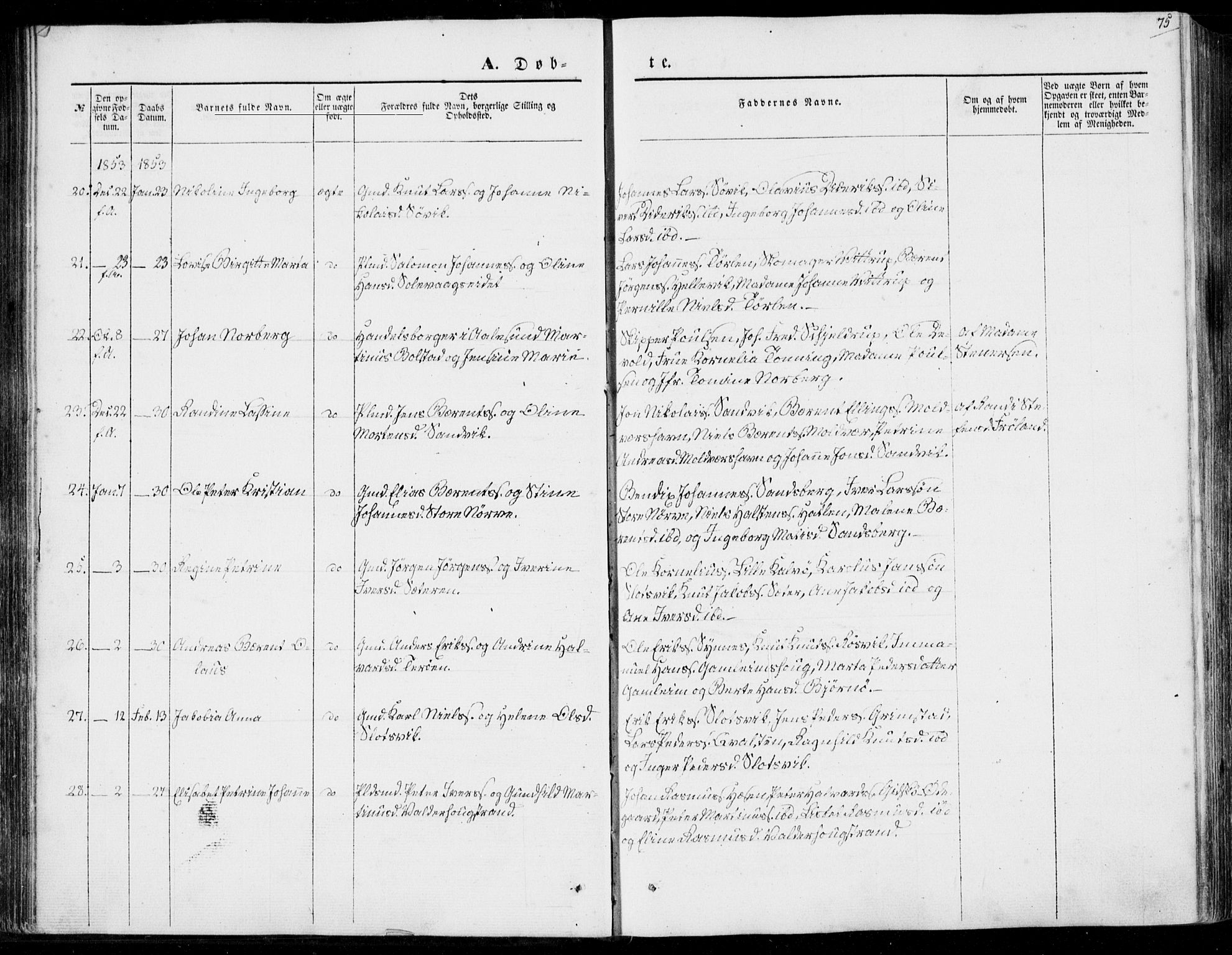 Ministerialprotokoller, klokkerbøker og fødselsregistre - Møre og Romsdal, AV/SAT-A-1454/528/L0397: Parish register (official) no. 528A08, 1848-1858, p. 75