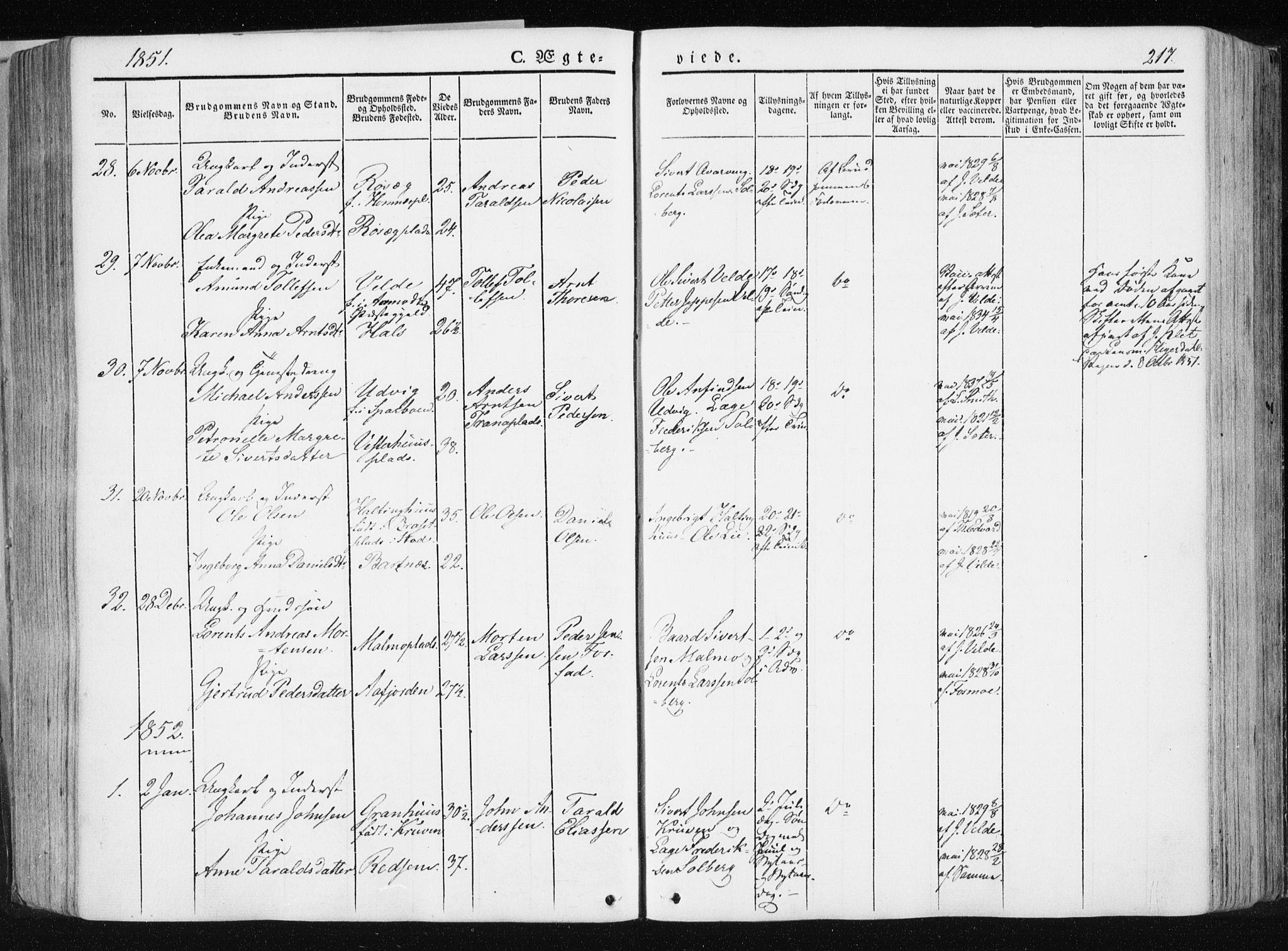 Ministerialprotokoller, klokkerbøker og fødselsregistre - Nord-Trøndelag, AV/SAT-A-1458/741/L0393: Parish register (official) no. 741A07, 1849-1863, p. 217